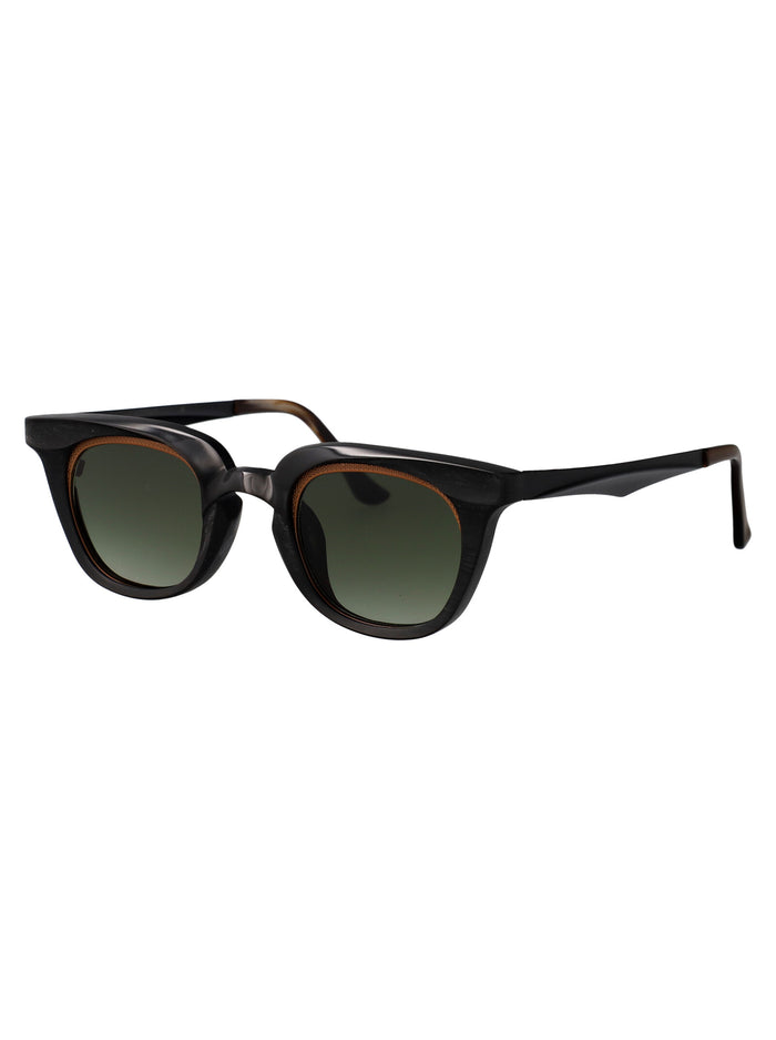Rg1007 Black Horn Sunglasses