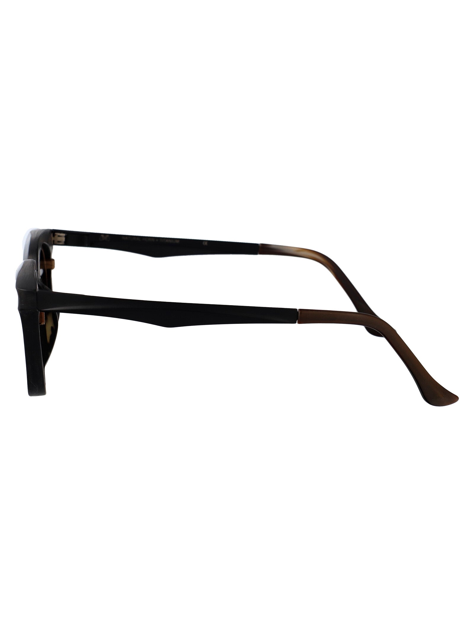 Rg1007 Black Horn Sunglasses