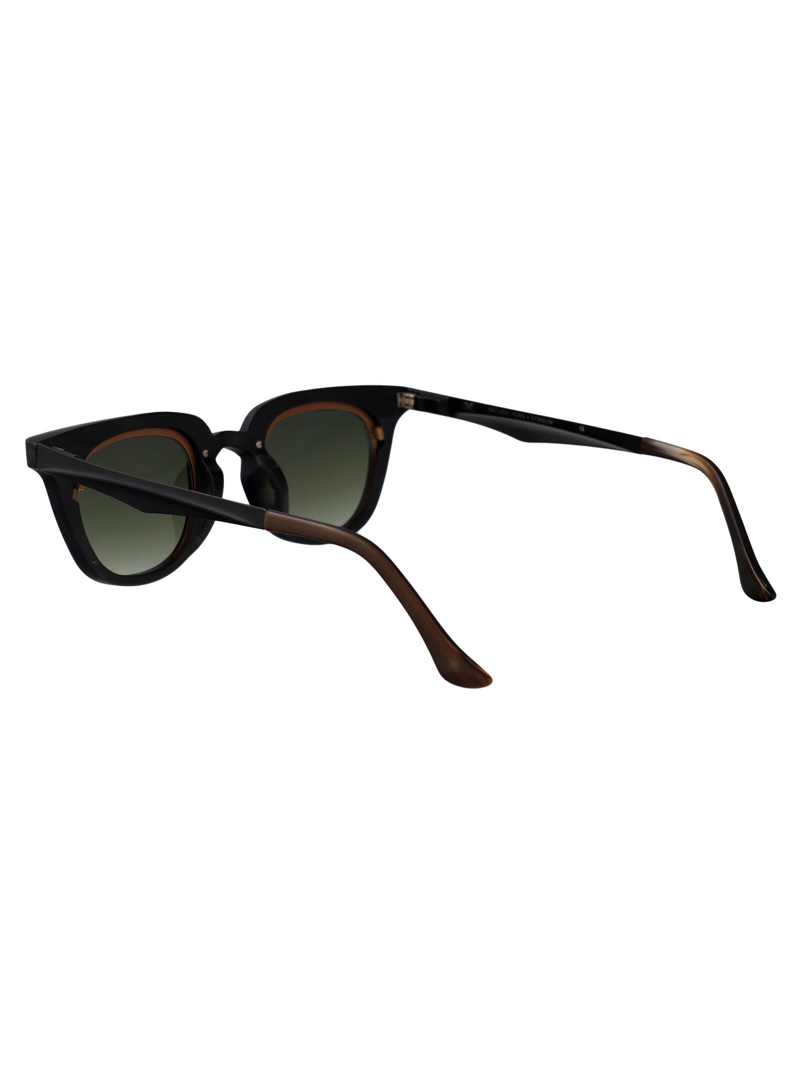 Rg1007 Black Horn Sunglasses