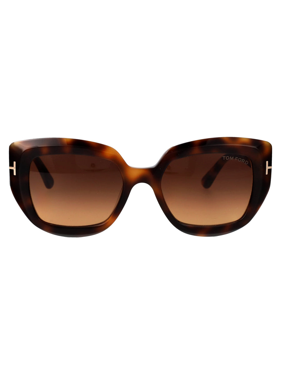 Sunglasses Saltzman Havana Acetate