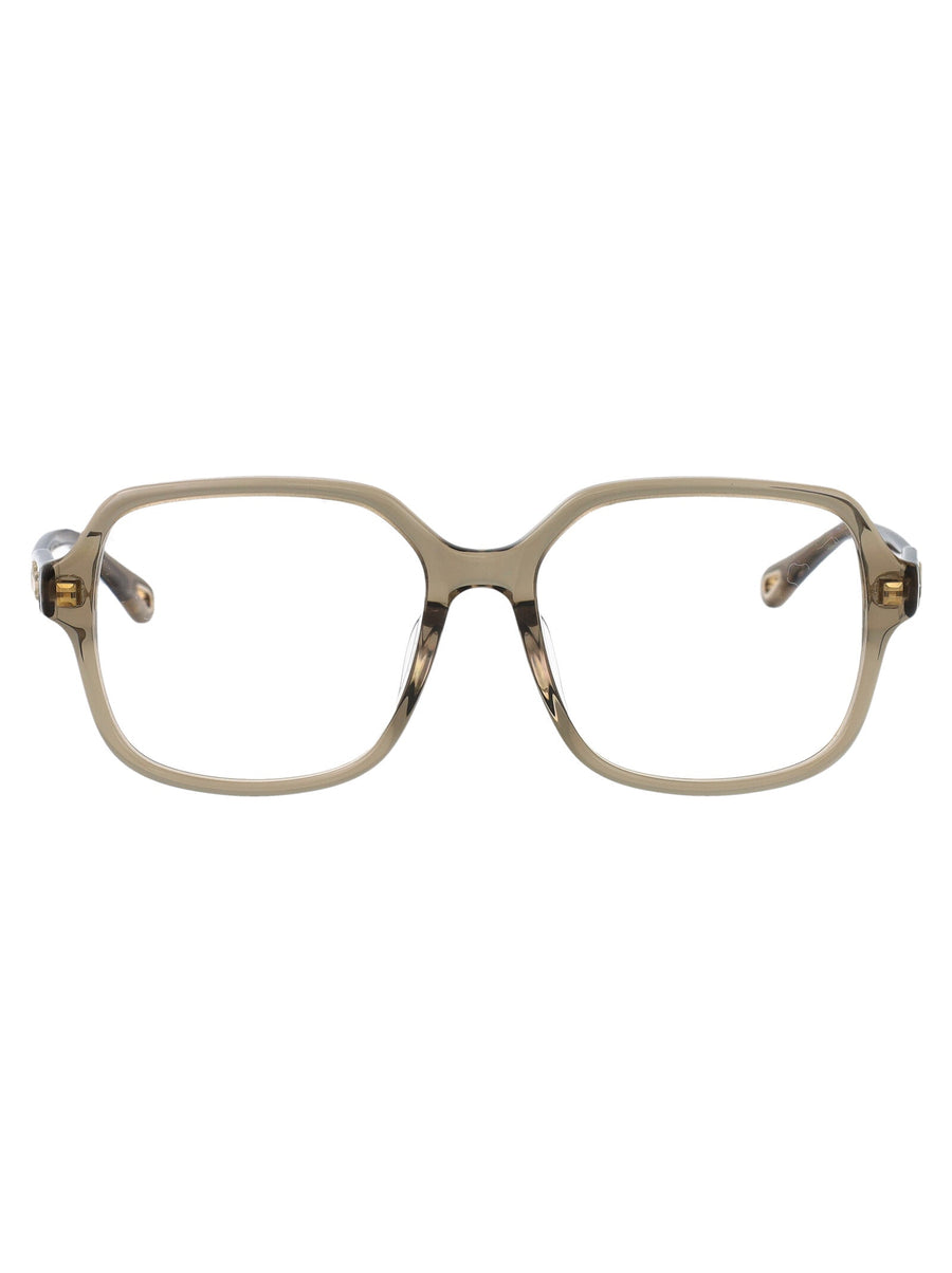 Sunglasses Green Transparent Acetate Green/green/transparent Glasses & Frames