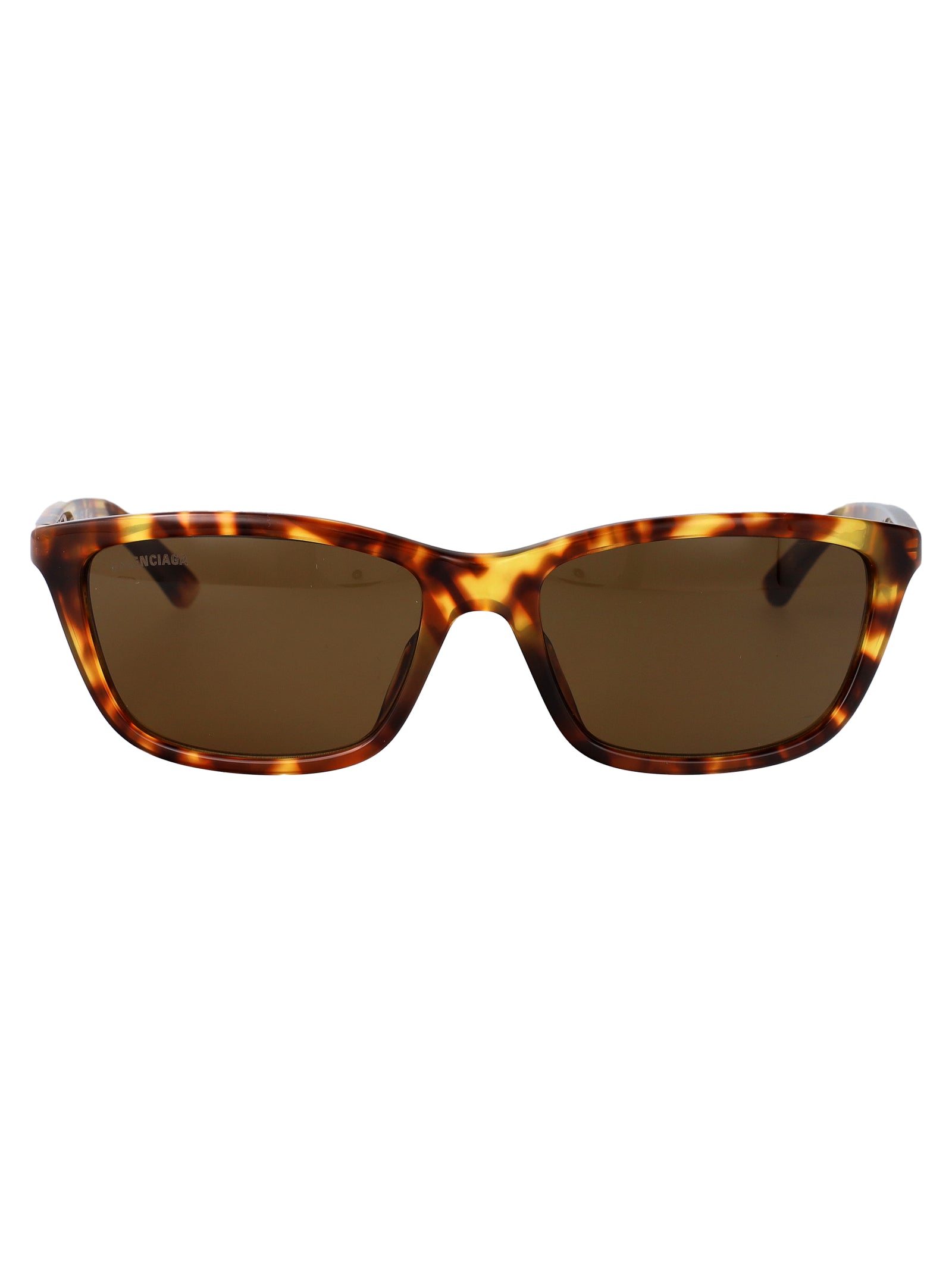 Bb0403sk 002 Havana-havana-brown Acetate Sunglasses