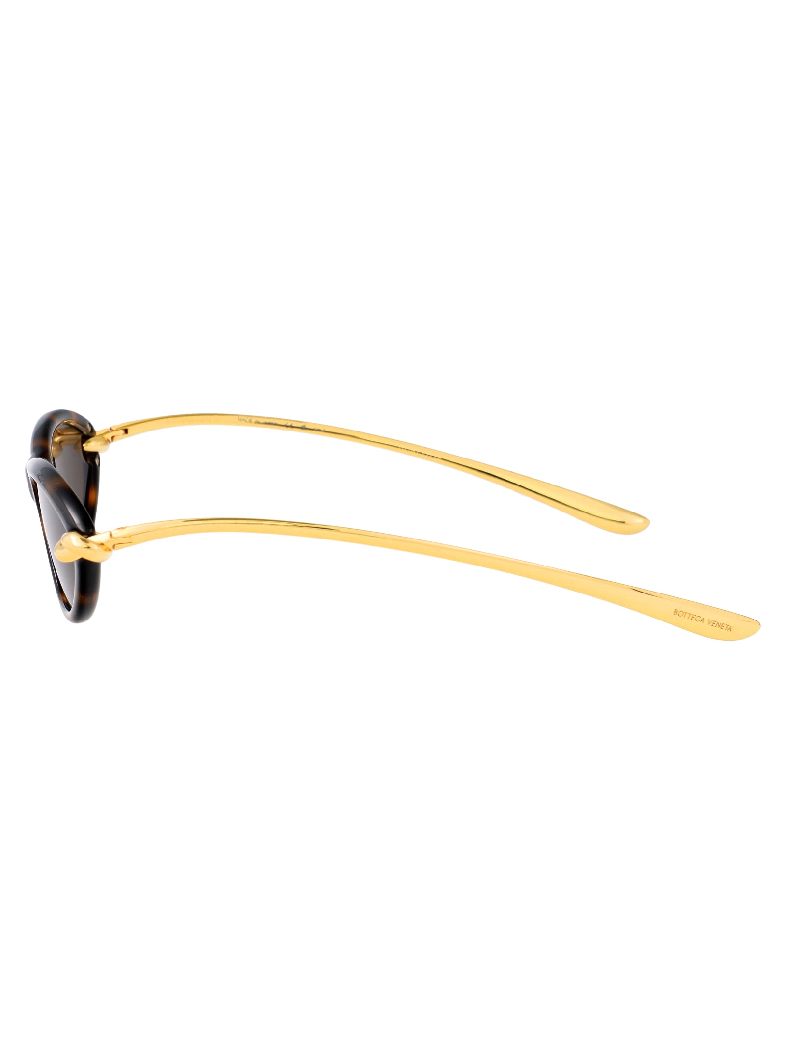 Bv1390s 002 Havana-gold-brown Injected Sunglasses