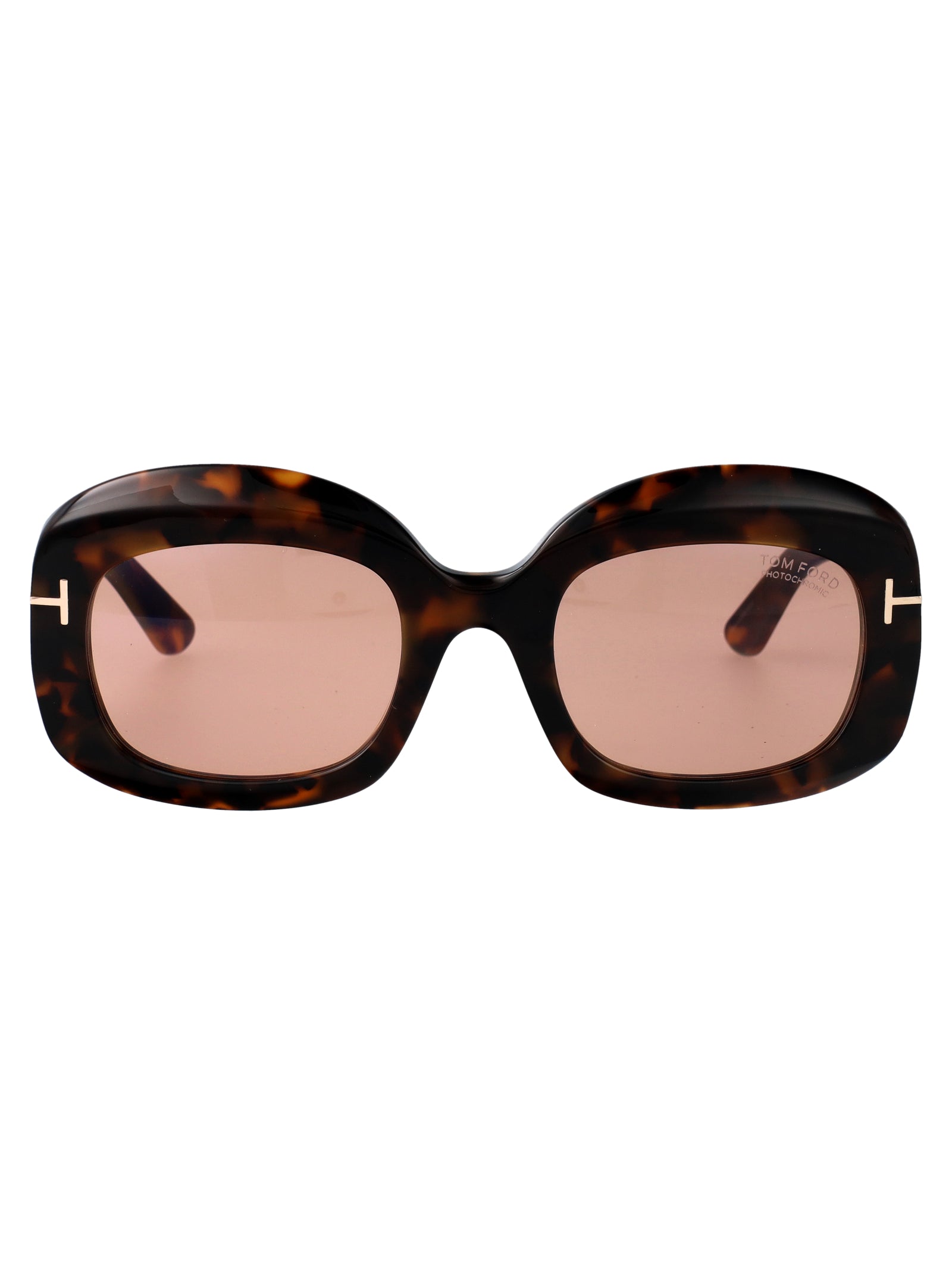 Carmen-02 Avana Scura / Viola Acetate Sunglasses