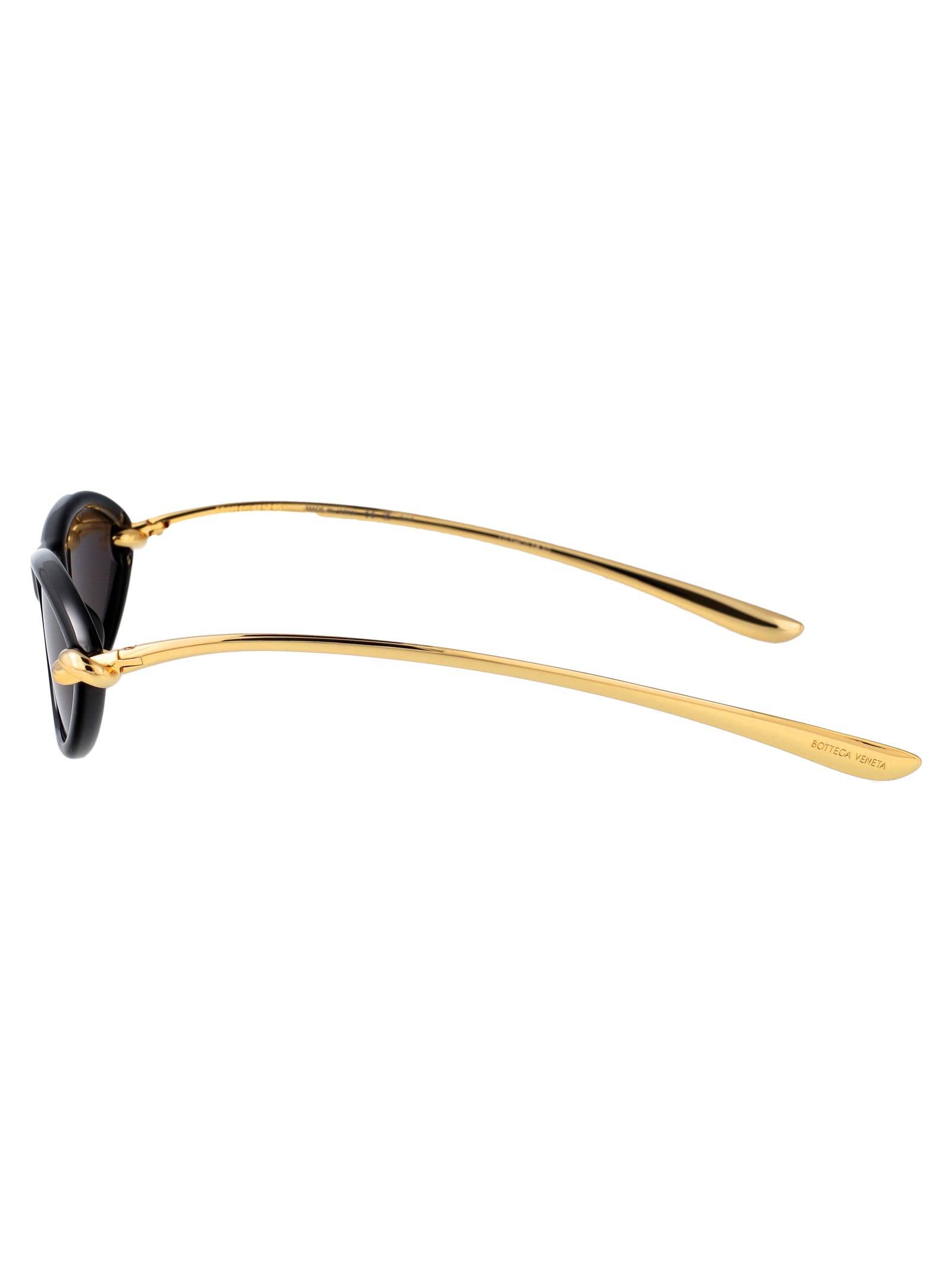 Bv1390s 001 Black-gold-grey Injected Sunglasses