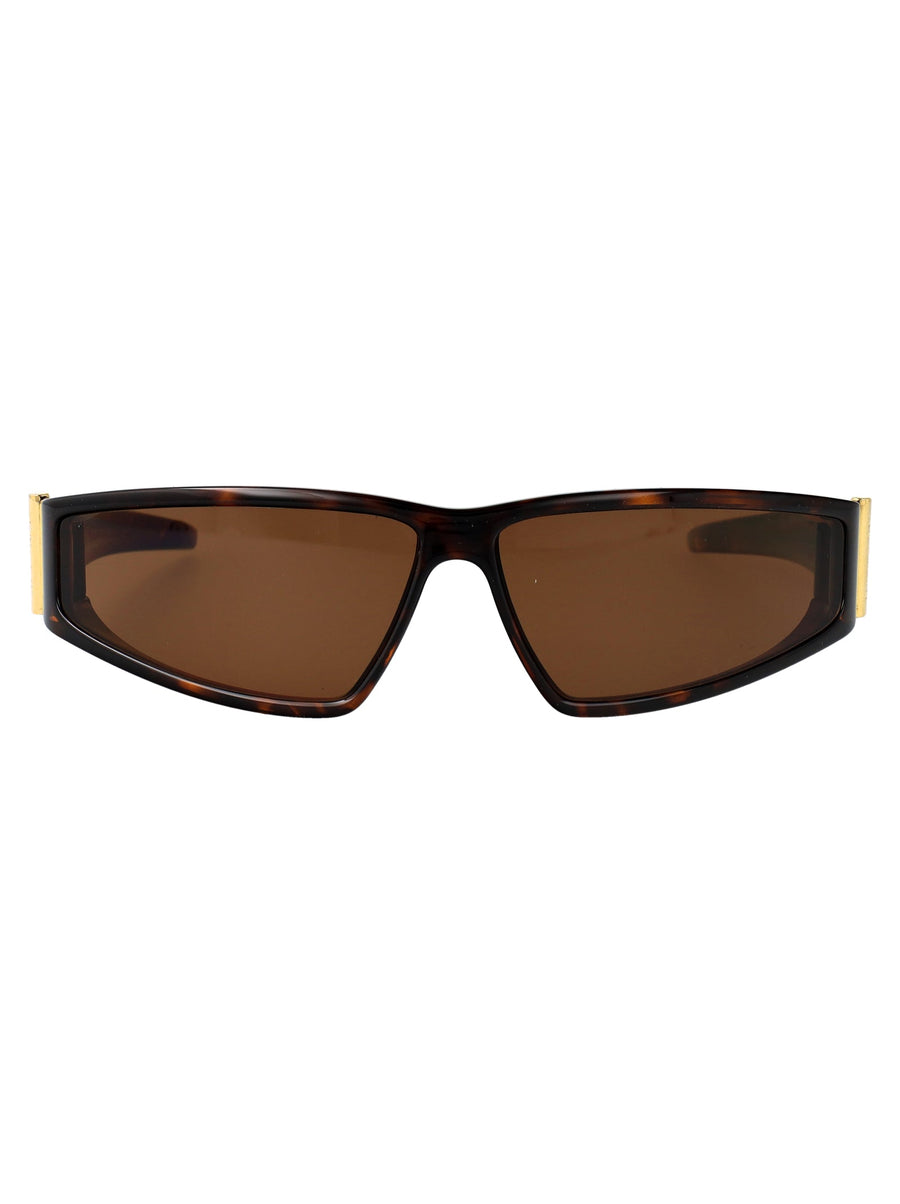 Sunglasses Am0490s Havana Brown Injected