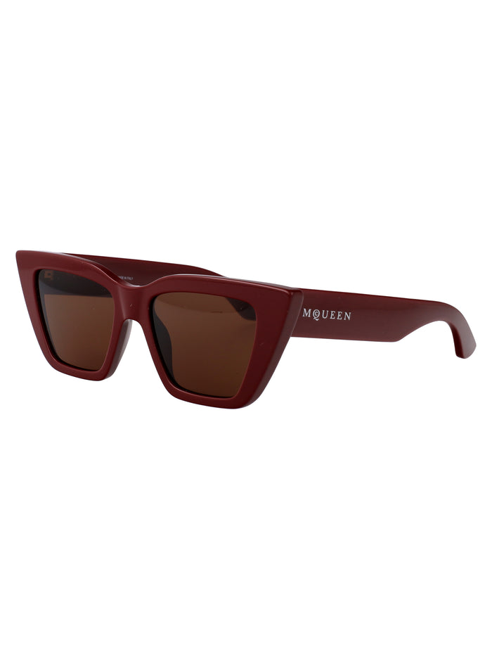 Am0507s 003 Burgundy-burgundy-brown Recycled Acetate Sunglasses
