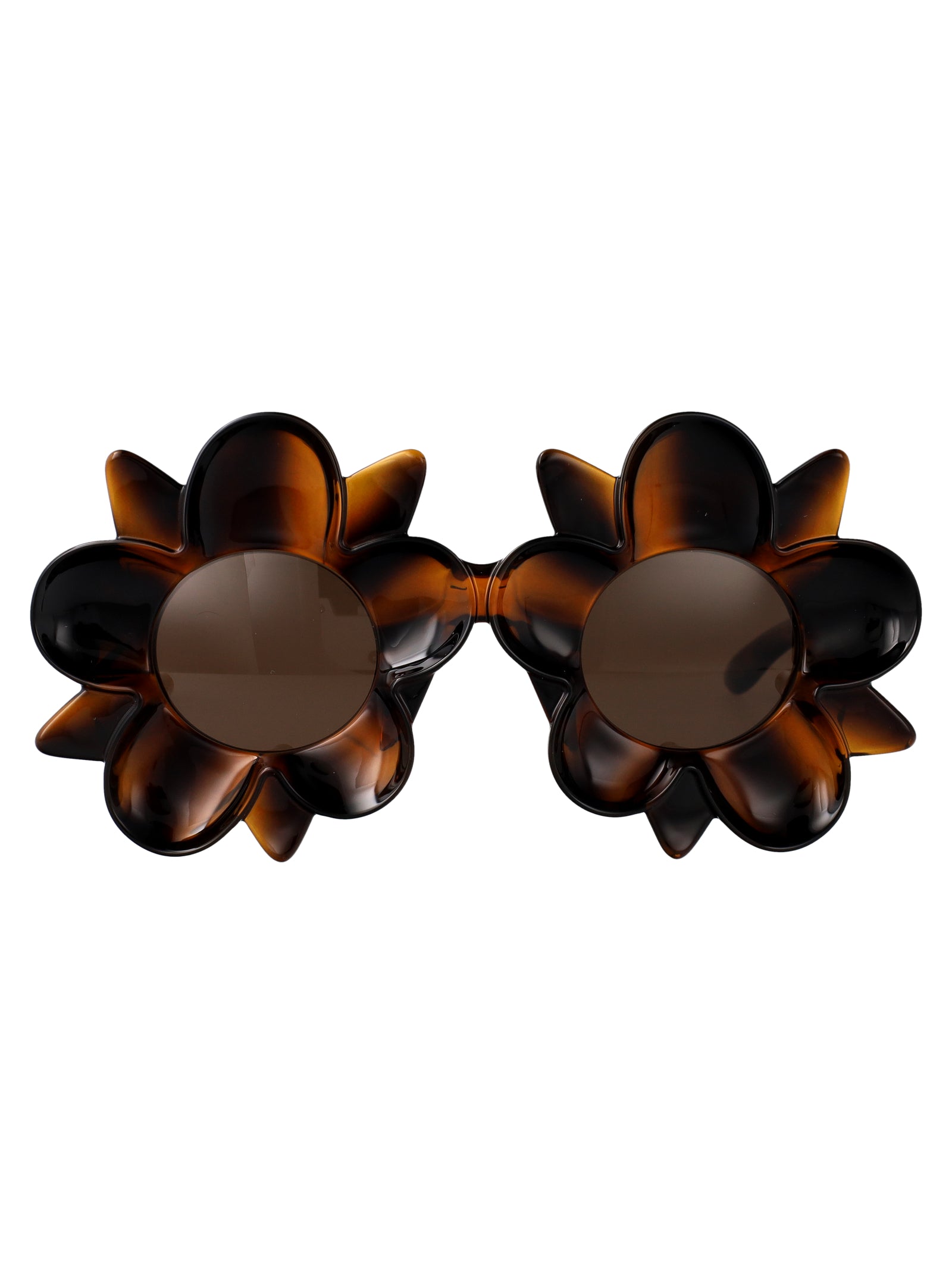 Bv1399s 008 Havana-havana-brown Injected Sunglasses
