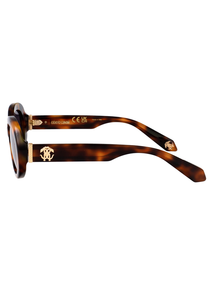 Src142m 09aj Avana Marrone Acetate Sunglasses