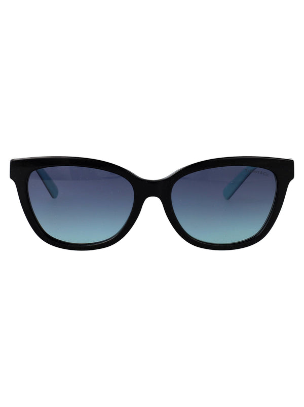 Sunglasses Black Acetate