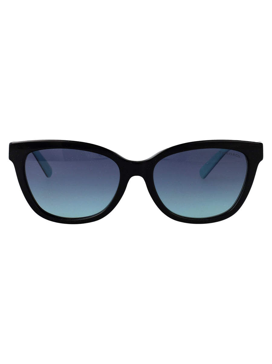 Sunglasses Black Acetate