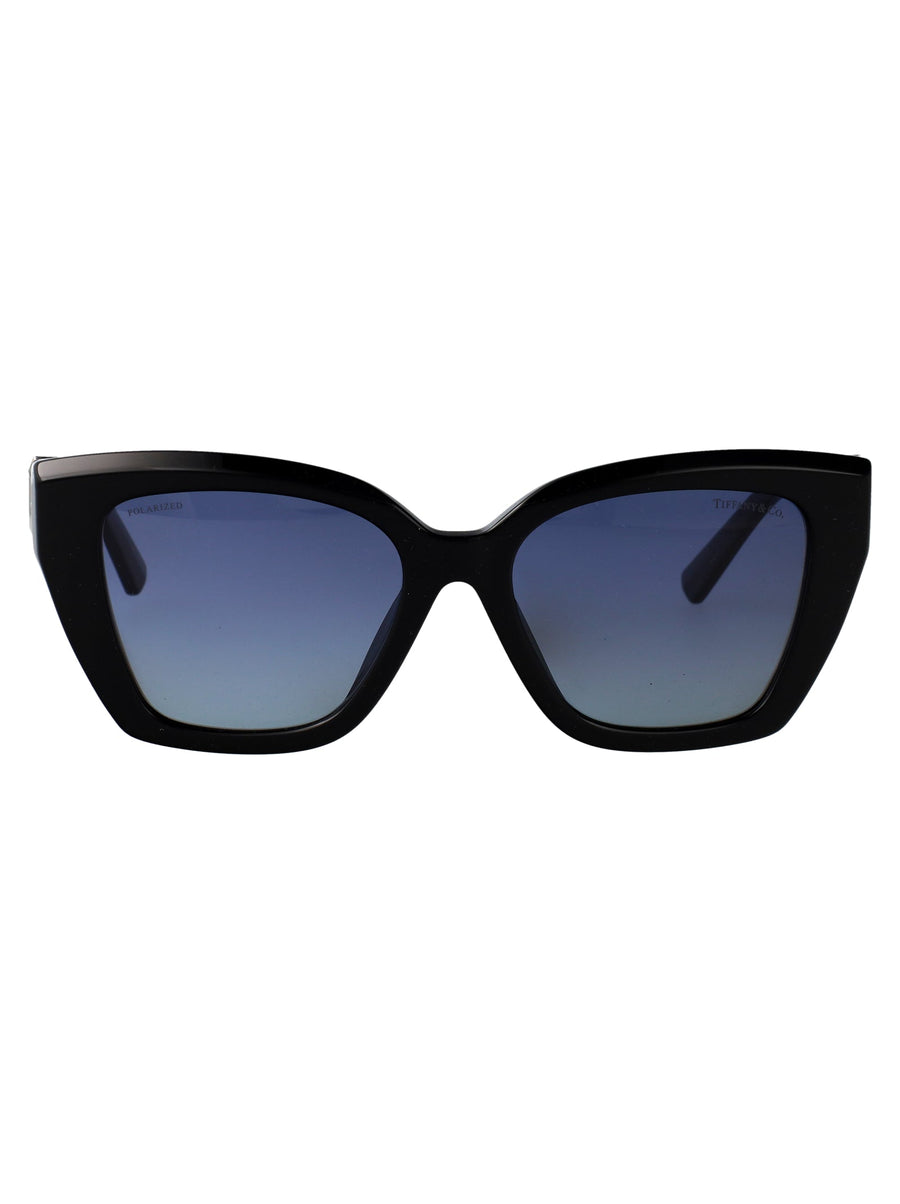 Sunglasses Black Acetate