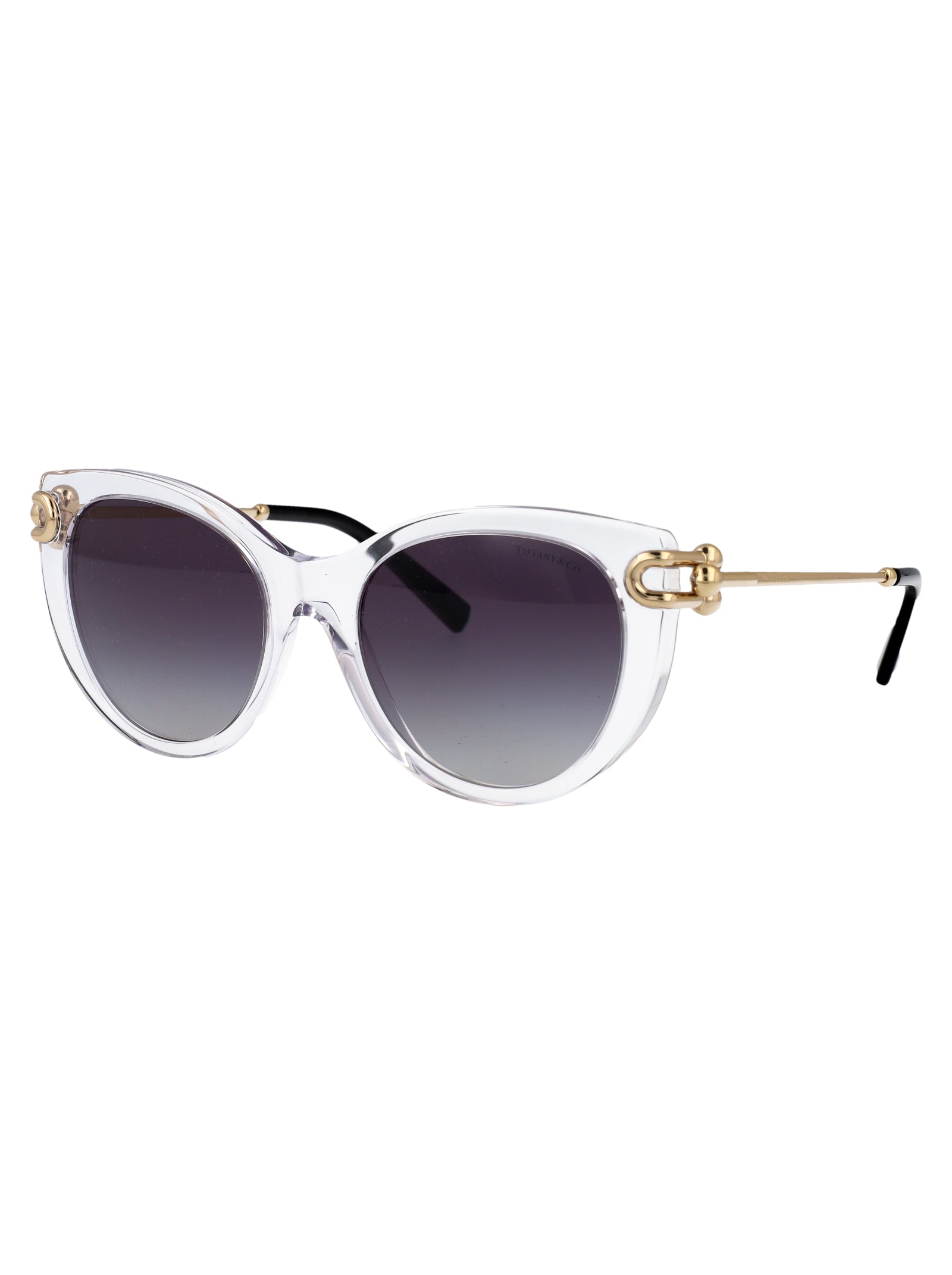 0tf4232 80473c Transparent Acetate Sunglasses