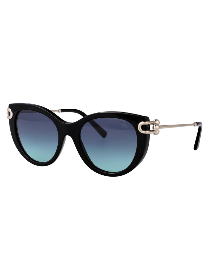 0tf4232 83429s Black Acetate Sunglasses