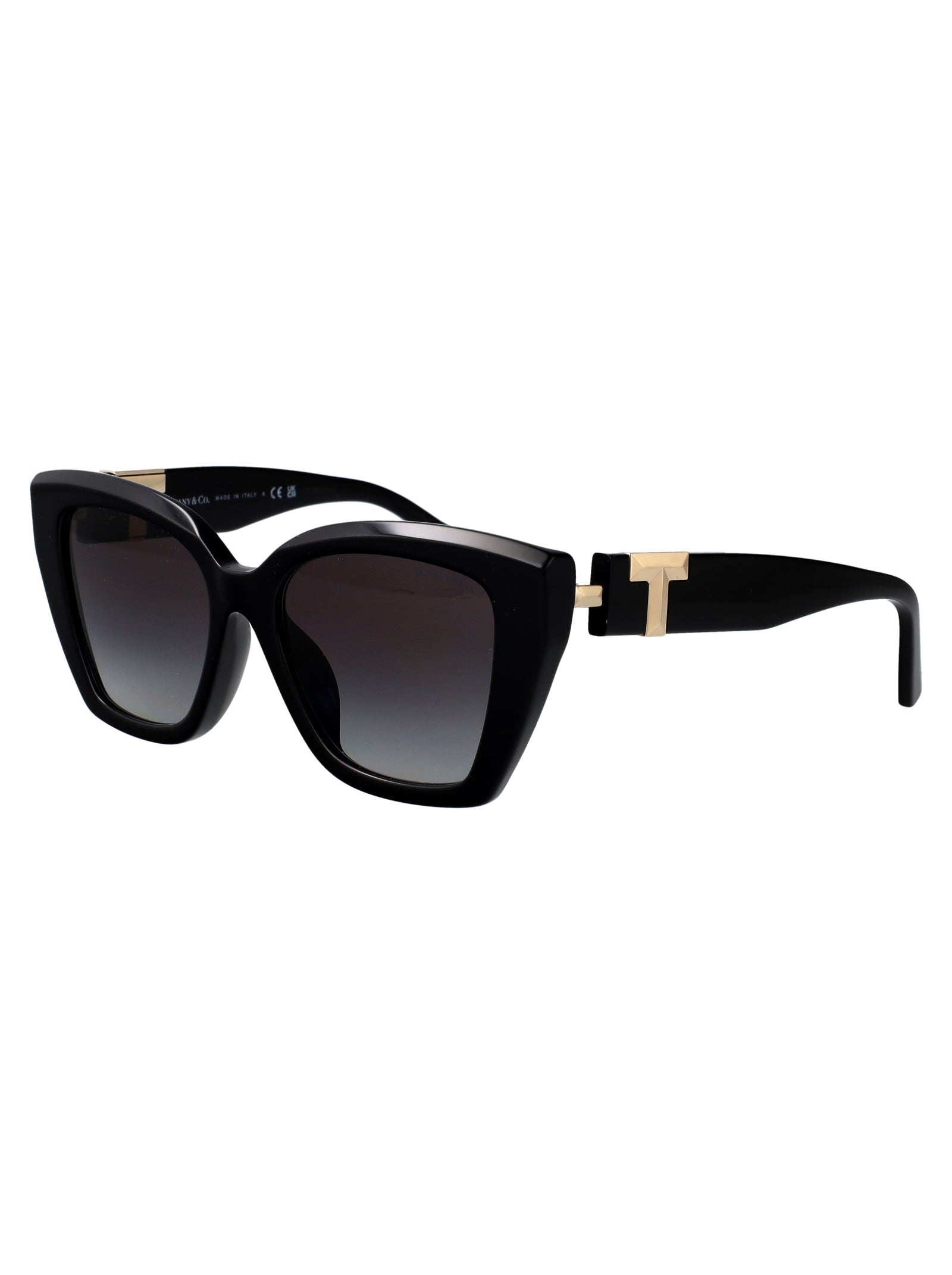 0tf4239u 80013c Black Acetate Sunglasses