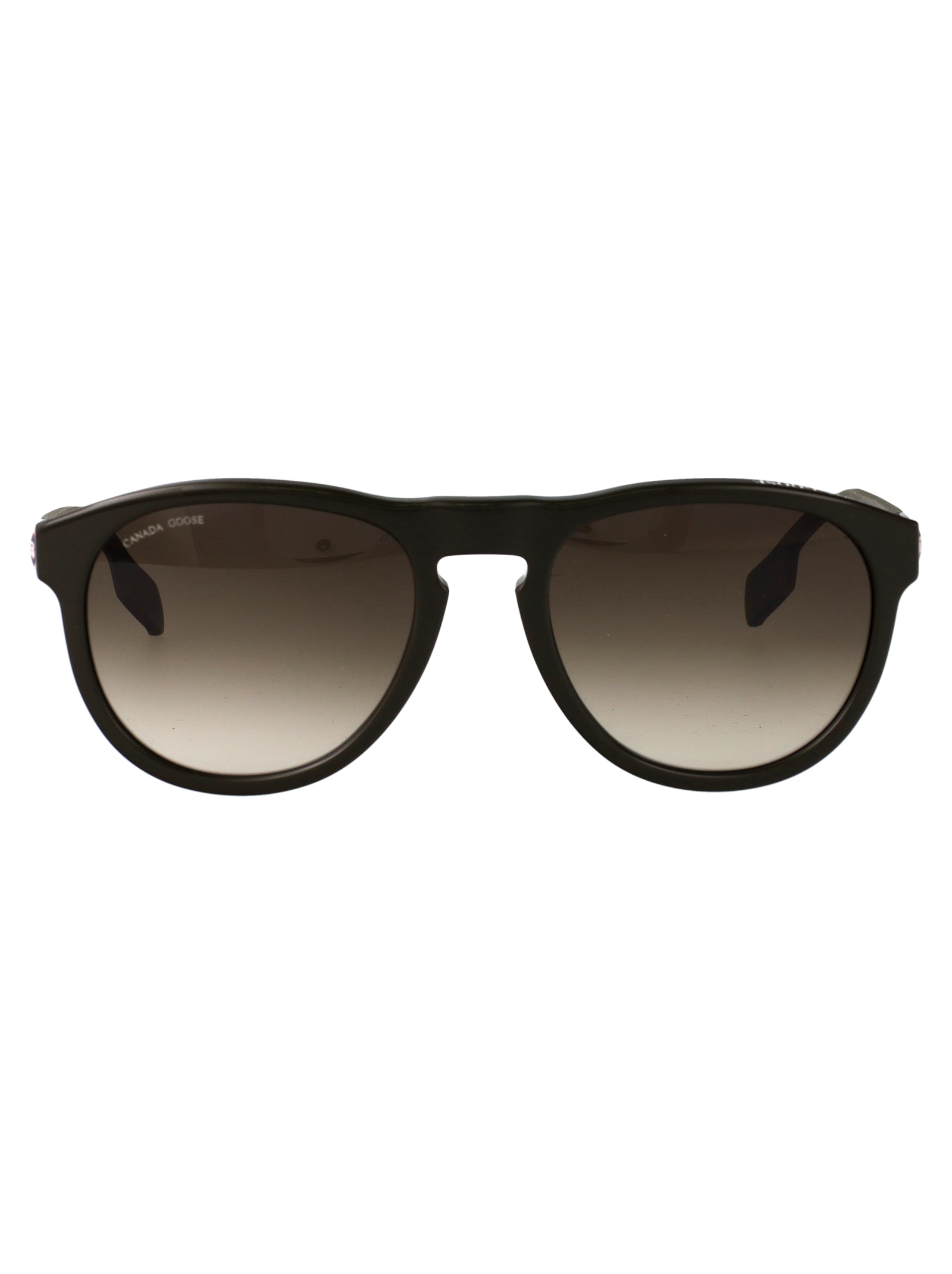 Gc25606se 317 Medium Green 6 Acetate Sunglasses