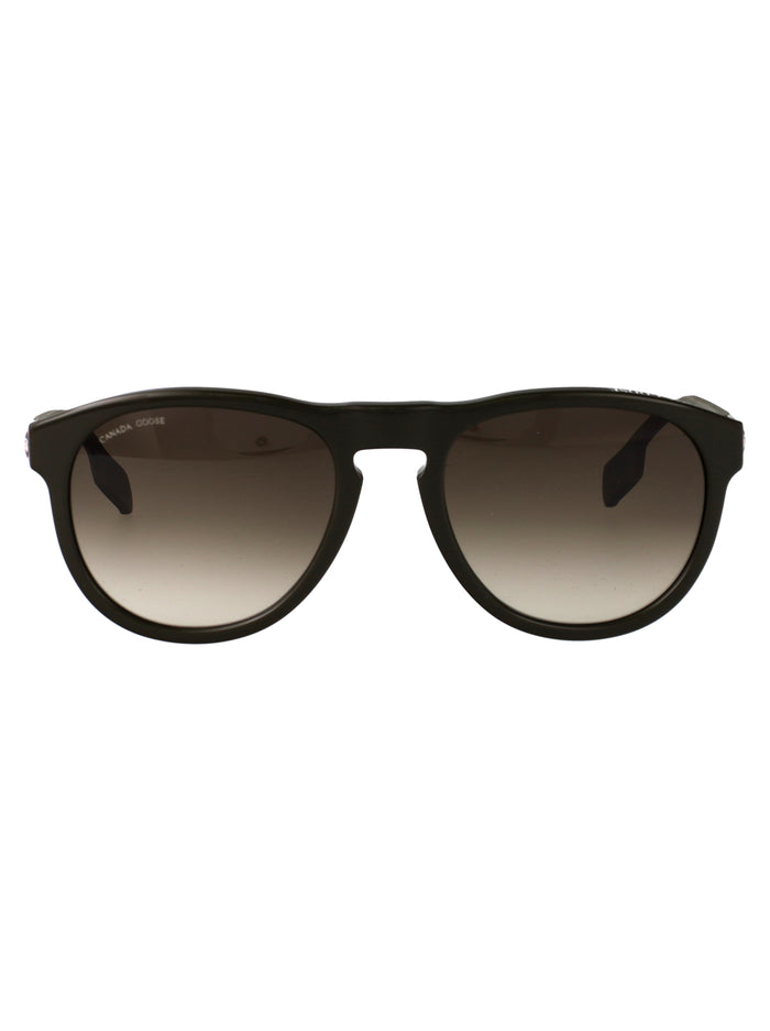 Gc25606se 317 Medium Green 6 Acetate Sunglasses