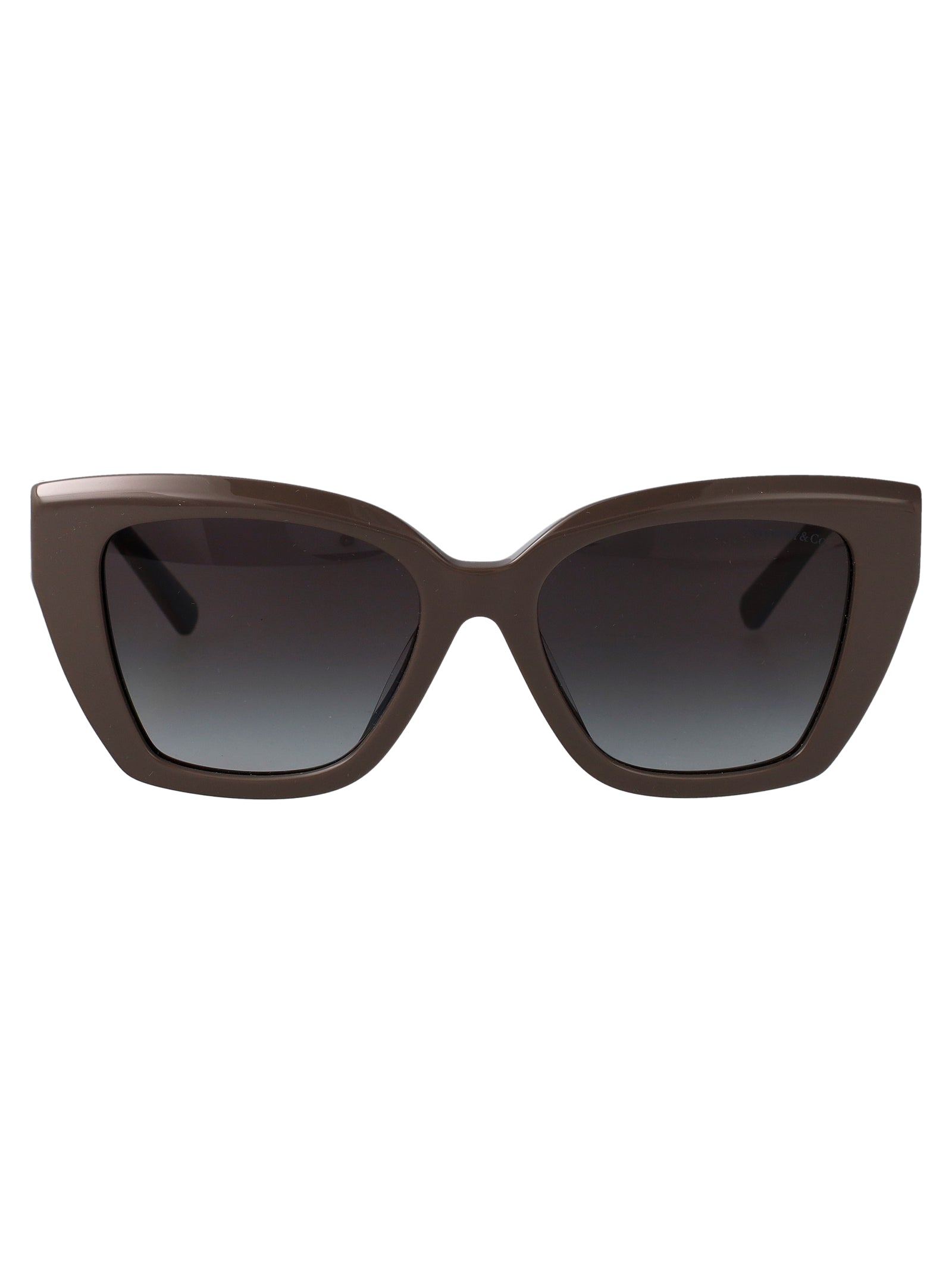 0tf4239u 84013c Chocolate Truffle Acetate Sunglasses