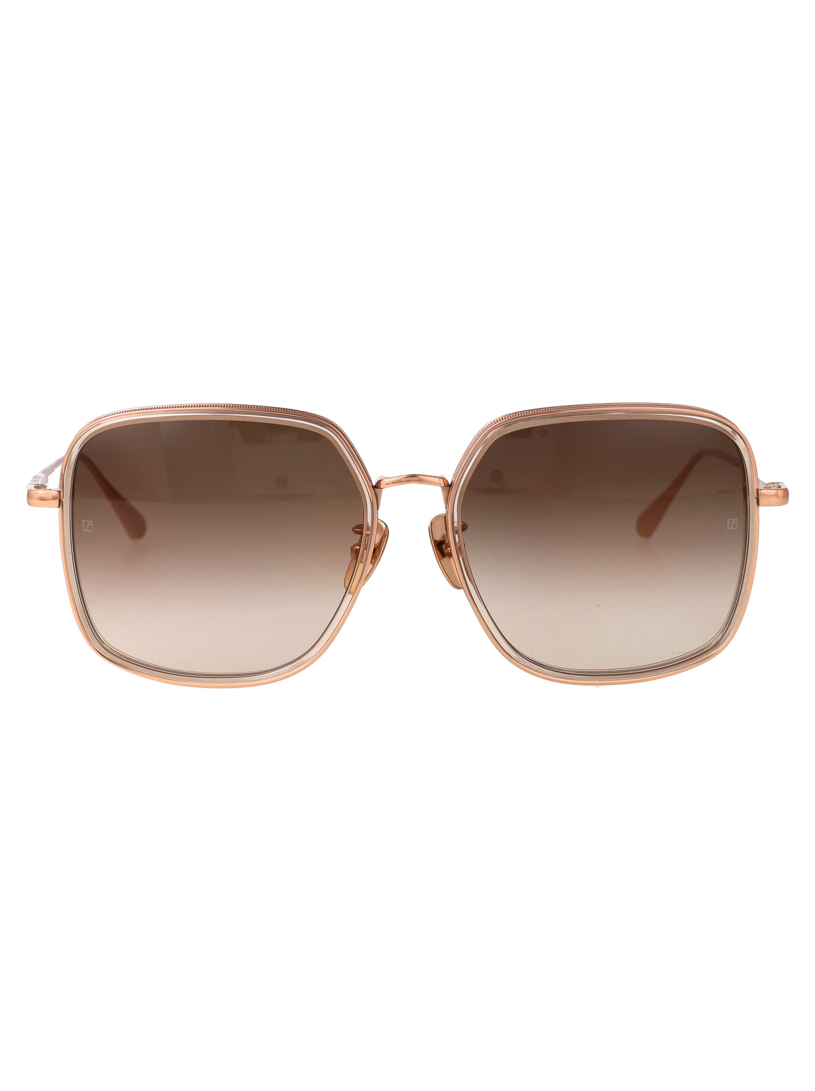 Alicia Ash/ Rose Gold/ Mocha Grad Acetate + Metal Sunglasses
