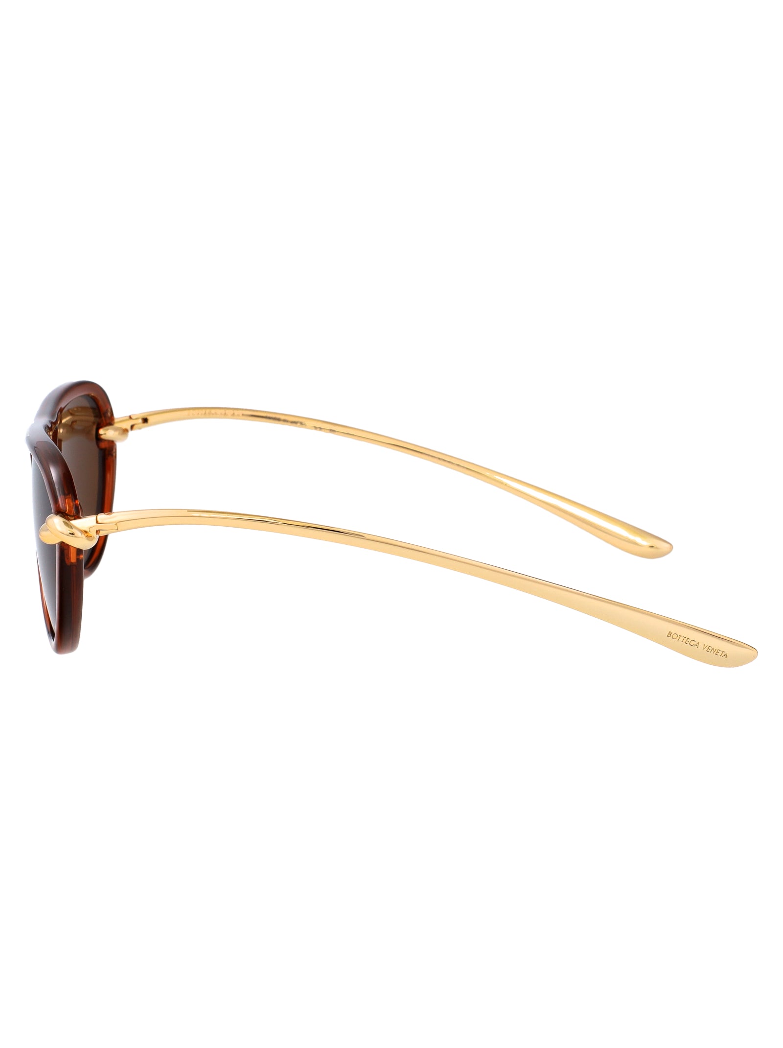 Bv1418s 004 Brown-gold-brown Bio Injected Sunglasses