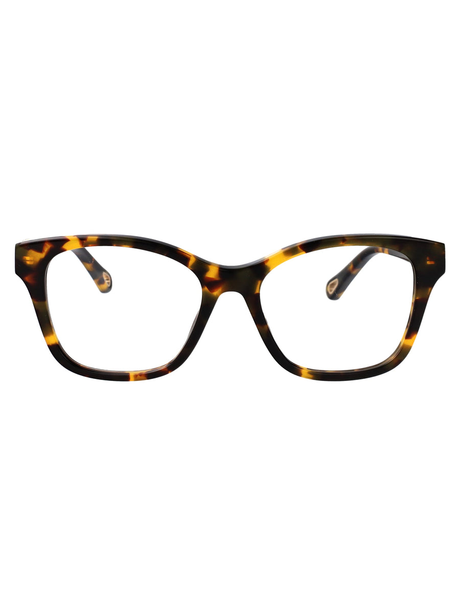 Sunglasses Ch0334o Havana Transparent Havana/havana/transparent Acetate Glasses & Frames