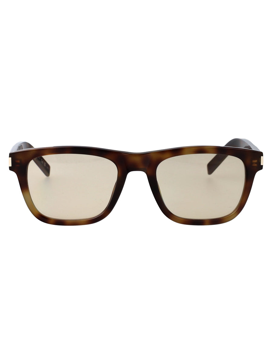 Sunglasses Sl819 Havana Brown Acetate