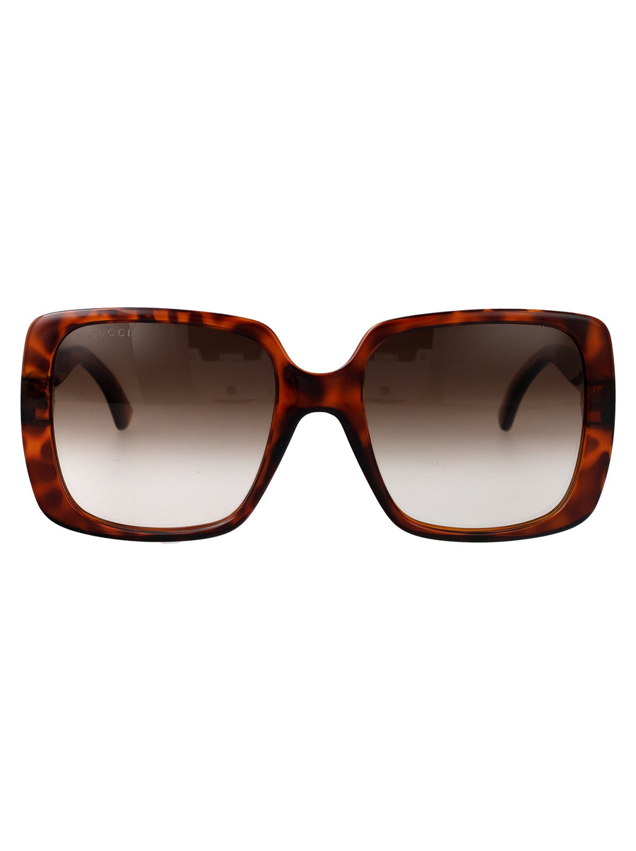 Sunglasses Havana Brown Injected