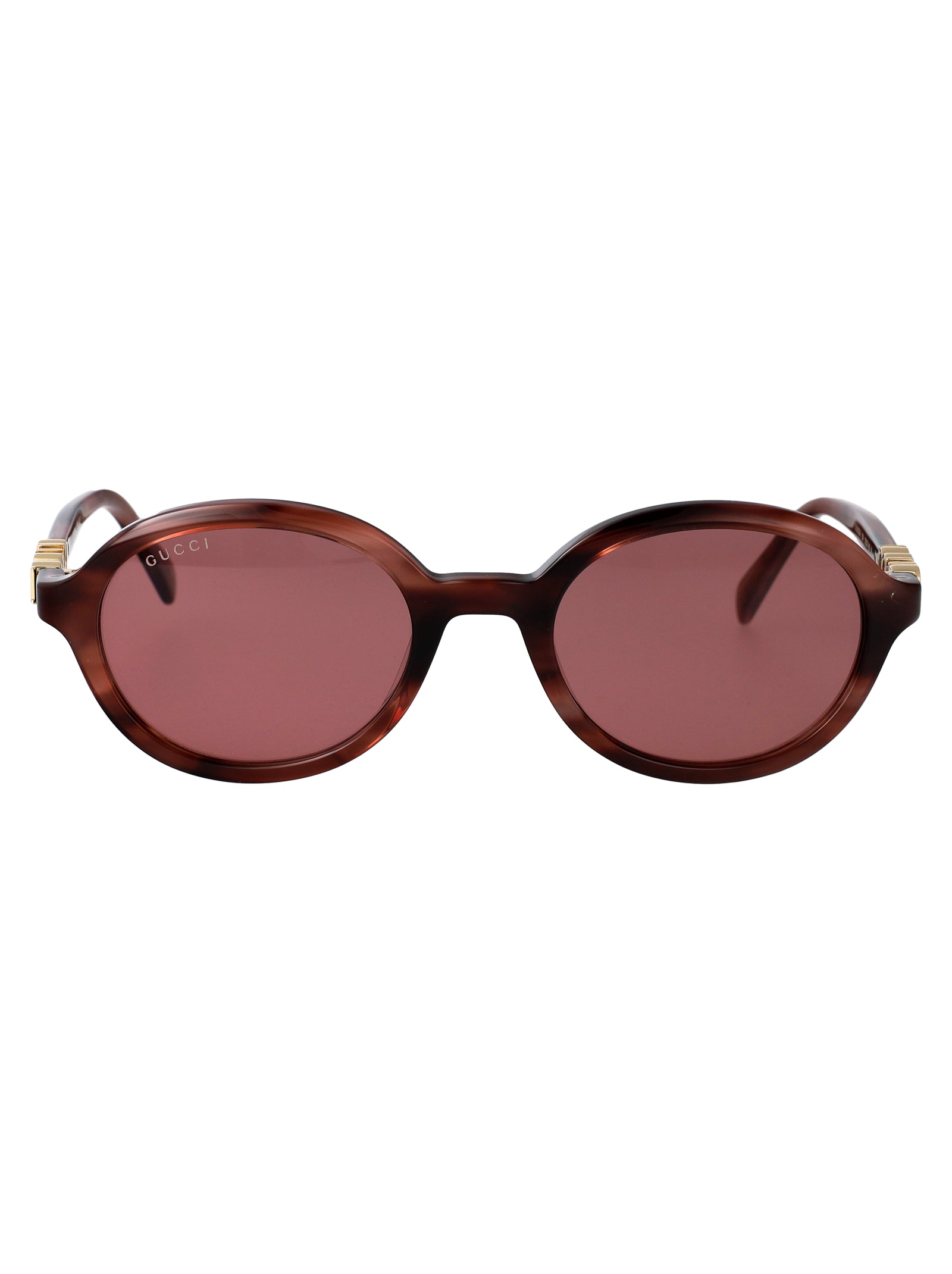 Gg2033sa 004 Havana-havana-red Acetate Sunglasses