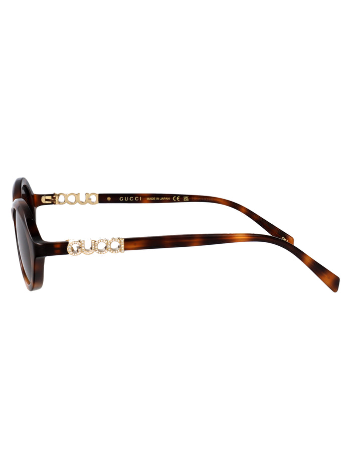 Gg2153s 006 Havana-havana-brown Acetate Sunglasses