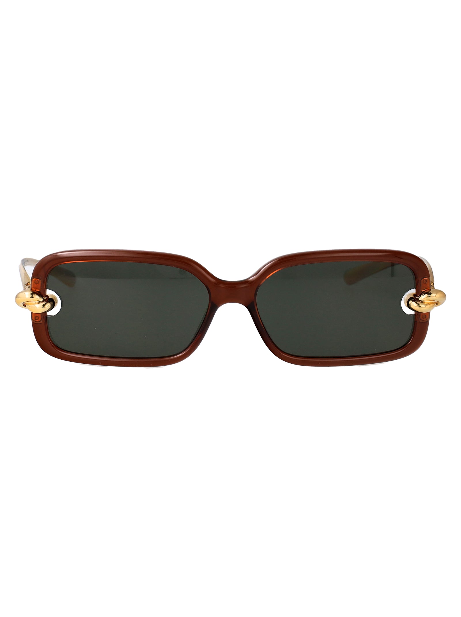 Bv1439s 005 Brown-gold-grey Injected Sunglasses