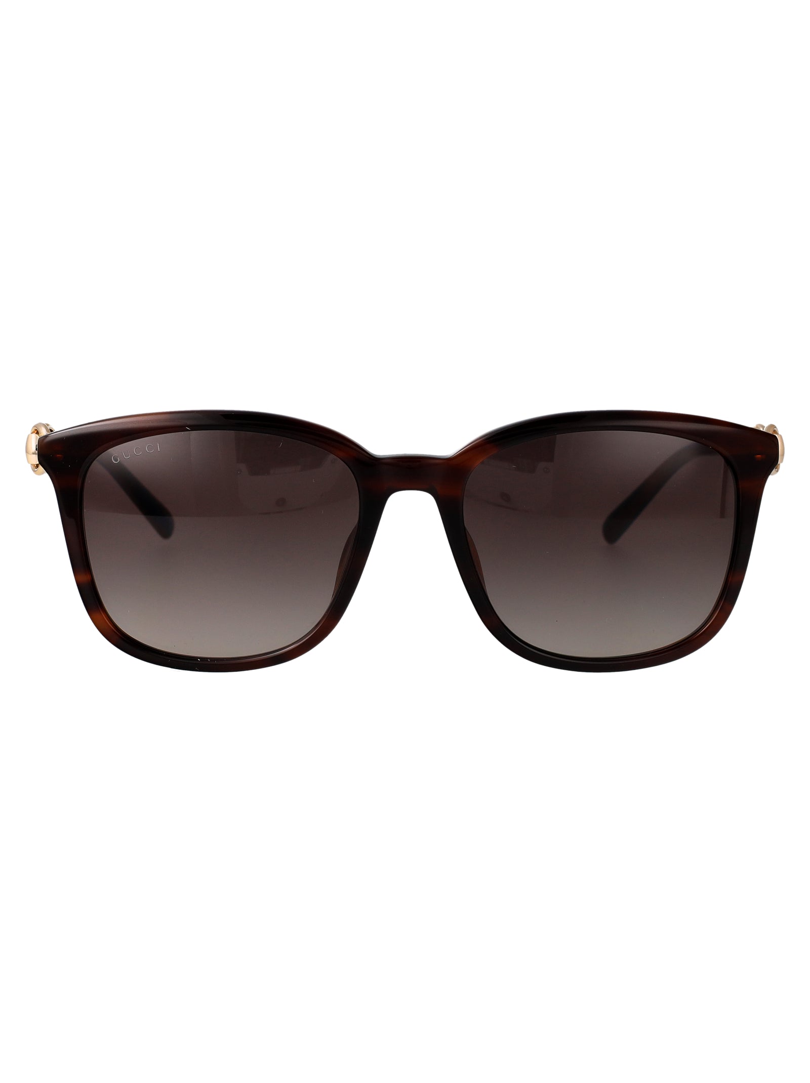 Gg2057sk 002 Havana-havana-grey Acetate Sunglasses