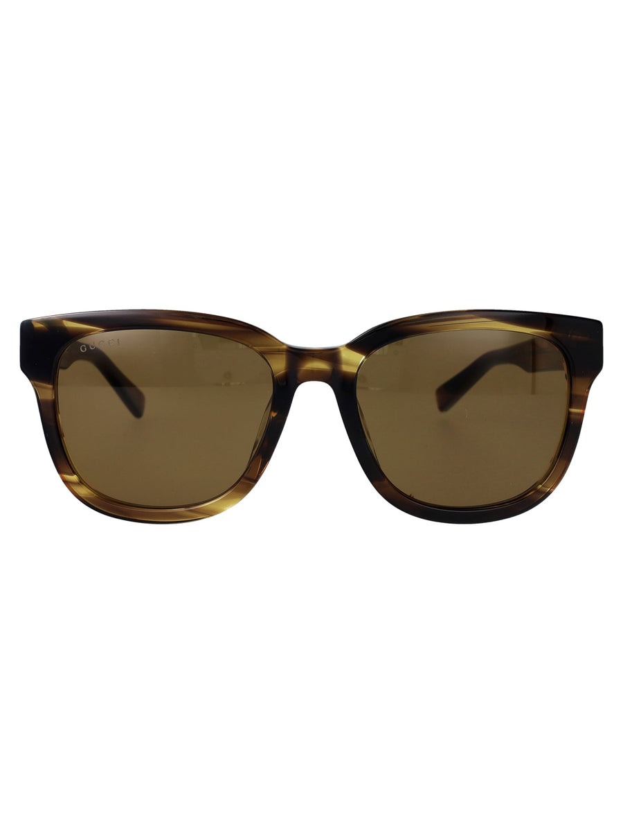 Sunglasses Havana Acetate