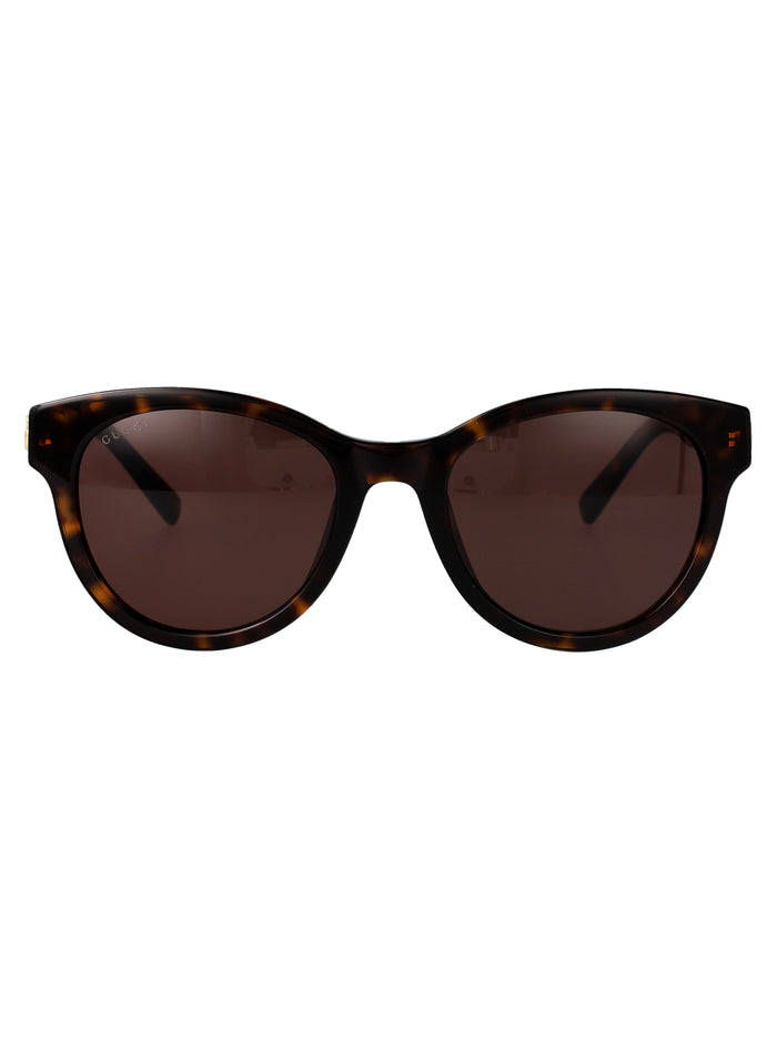 Gg2127sk 002 Havana-havana-brown Acetate Sunglasses