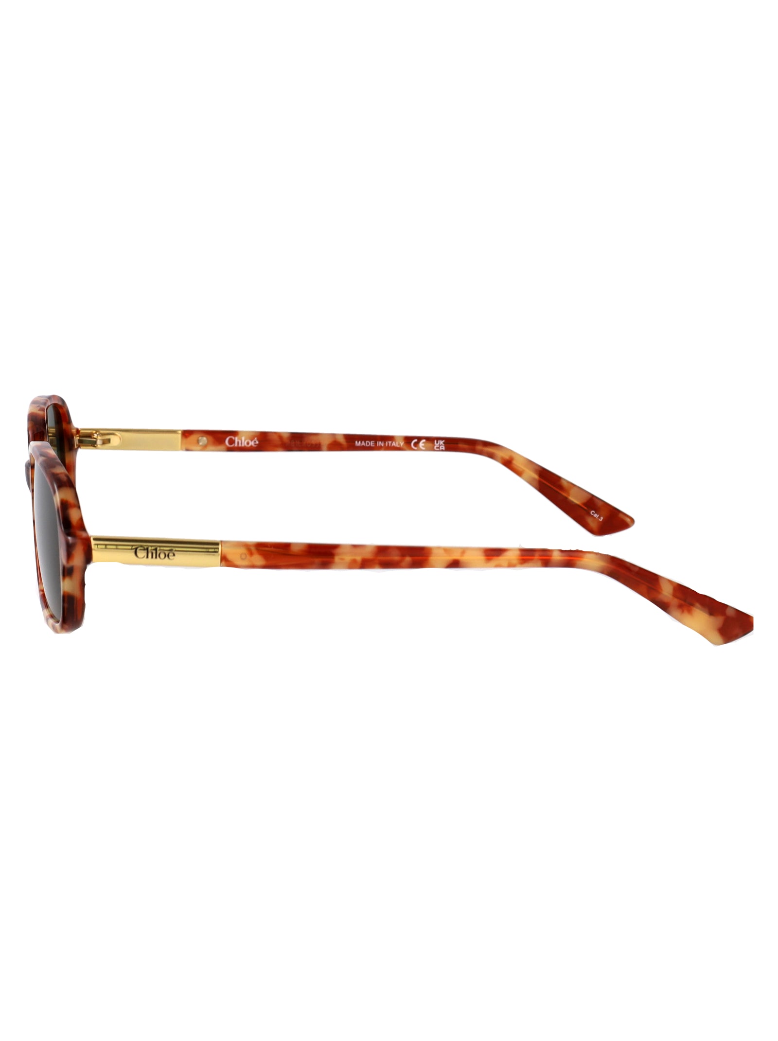 Ch0363s 003 Havana-havana-green Acetate Sunglasses
