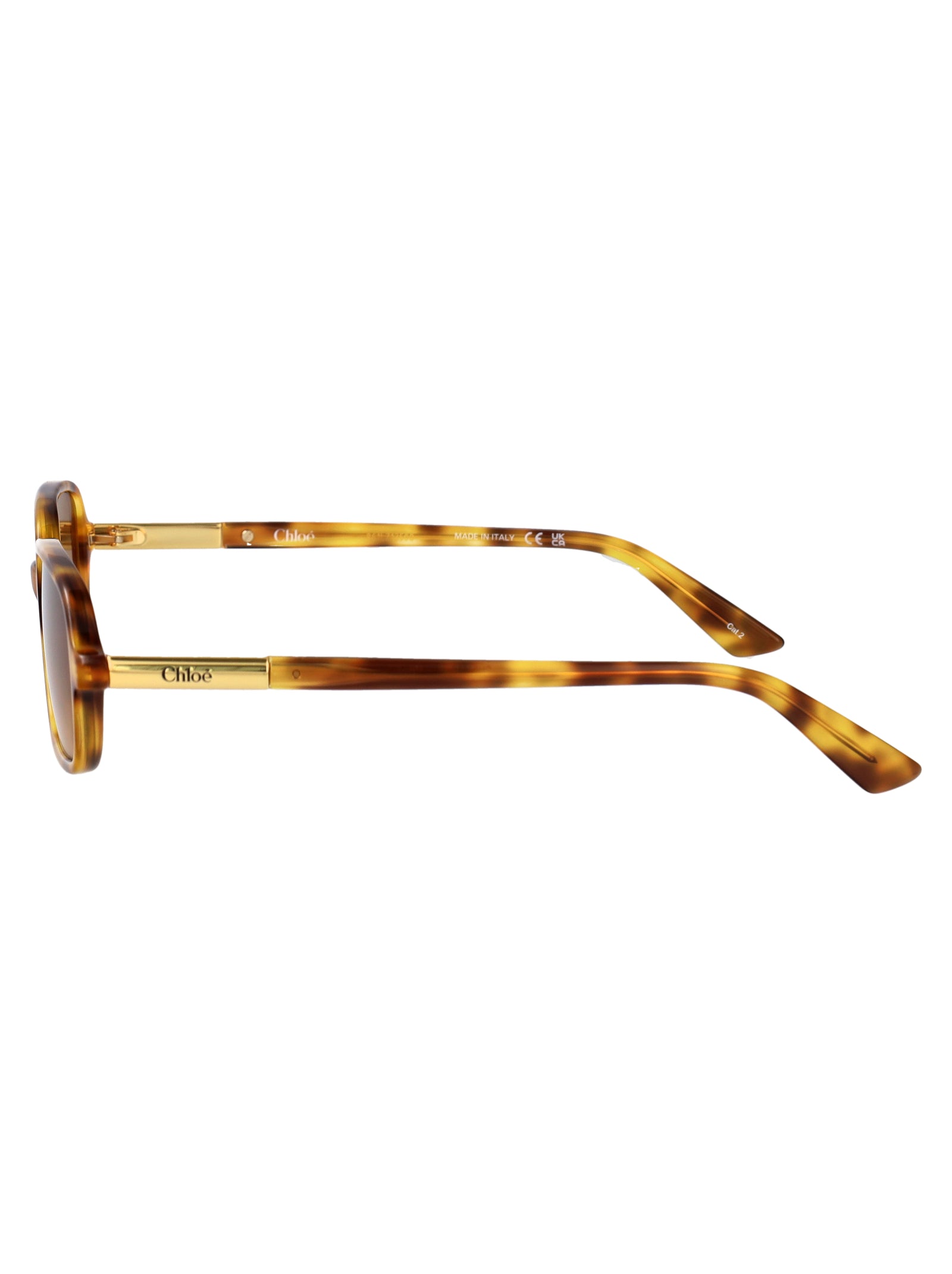 Ch0363s 004 Havana-havana-brown Acetate Sunglasses