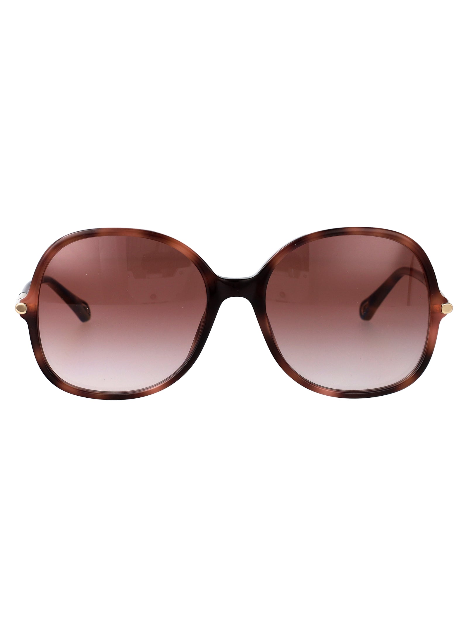 Ch0383s 004 Havana-havana-red Acetate Sunglasses