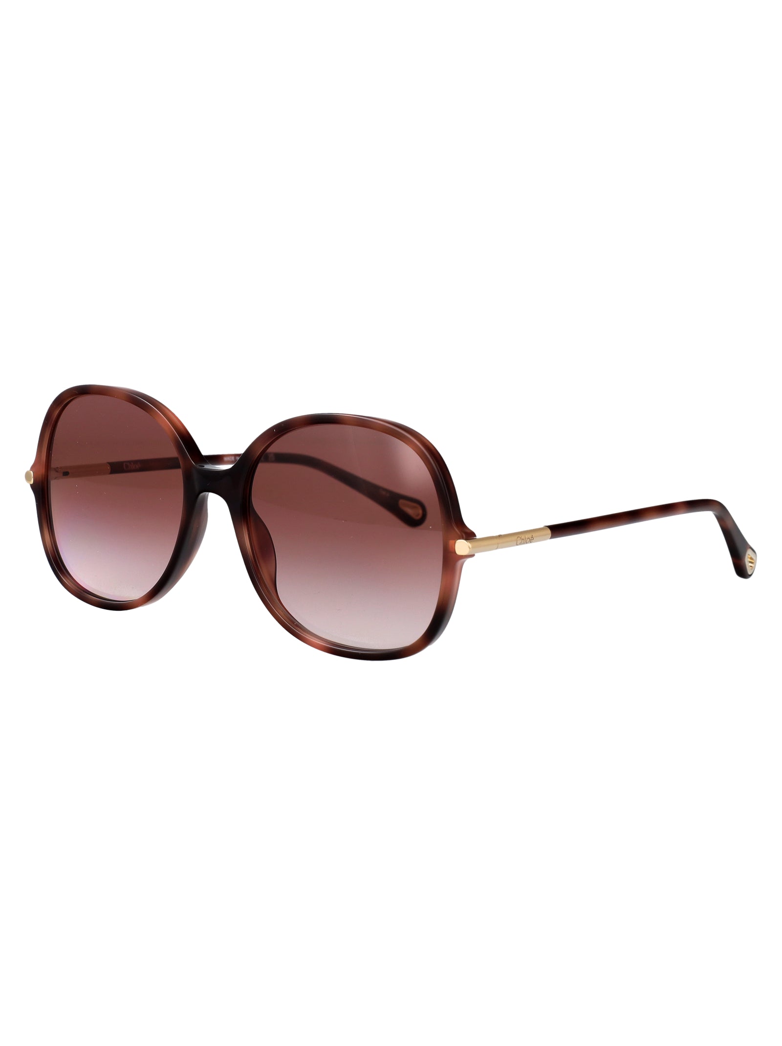 Ch0383s 004 Havana-havana-red Acetate Sunglasses