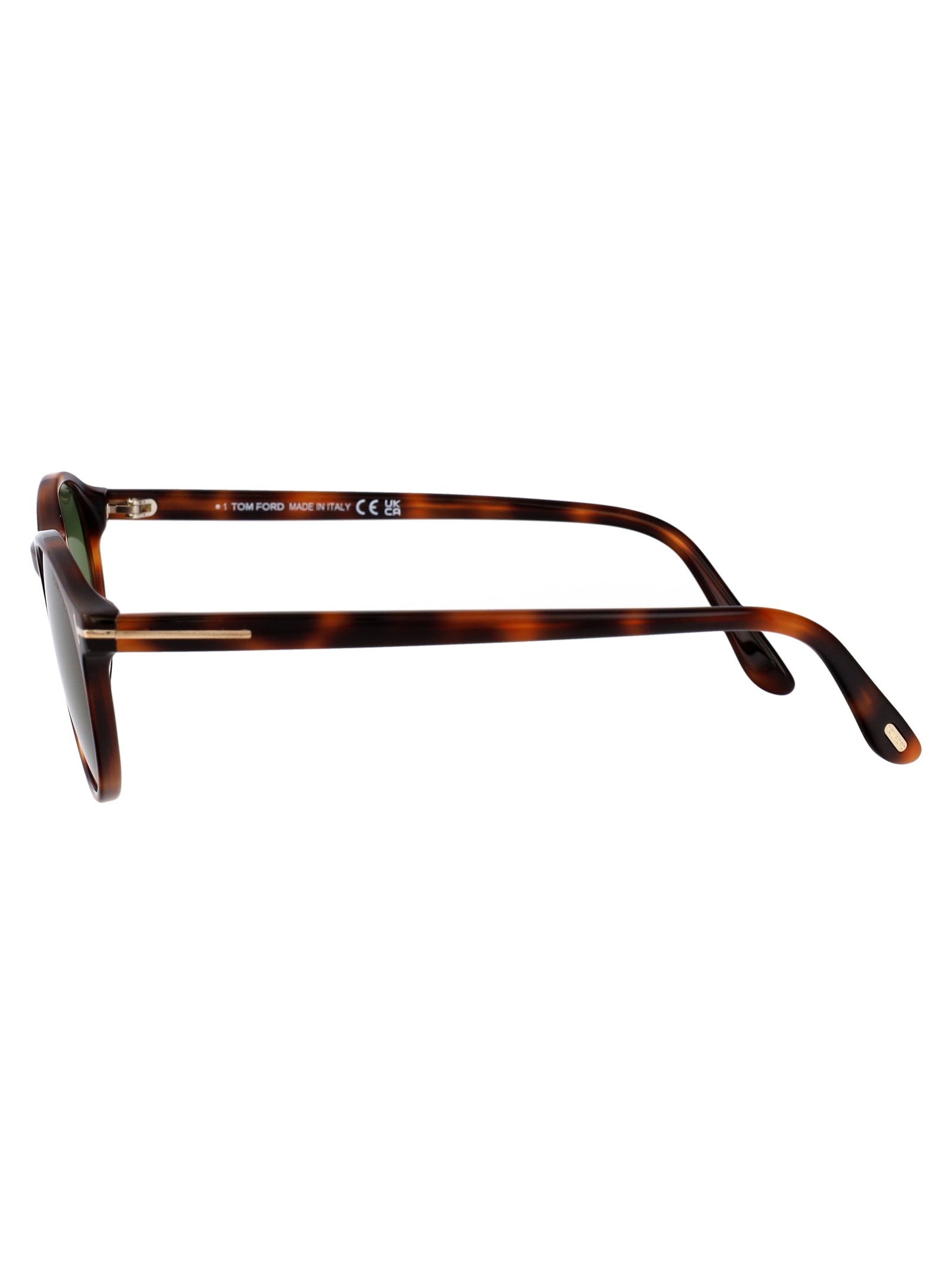 Ft1331 53n Avana Bionda / Verde Acetate Sunglasses