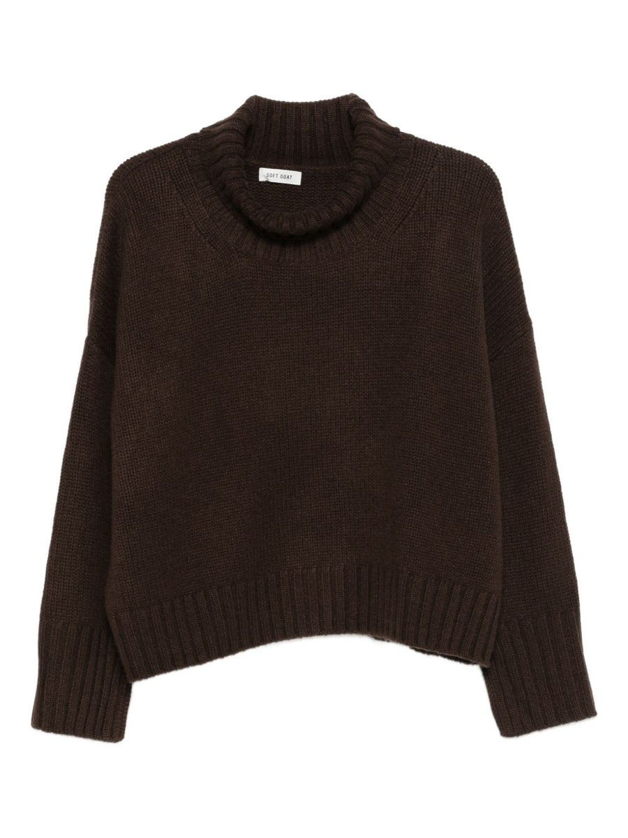 Soft Goat Wool Turtleneck Sweater — Brown