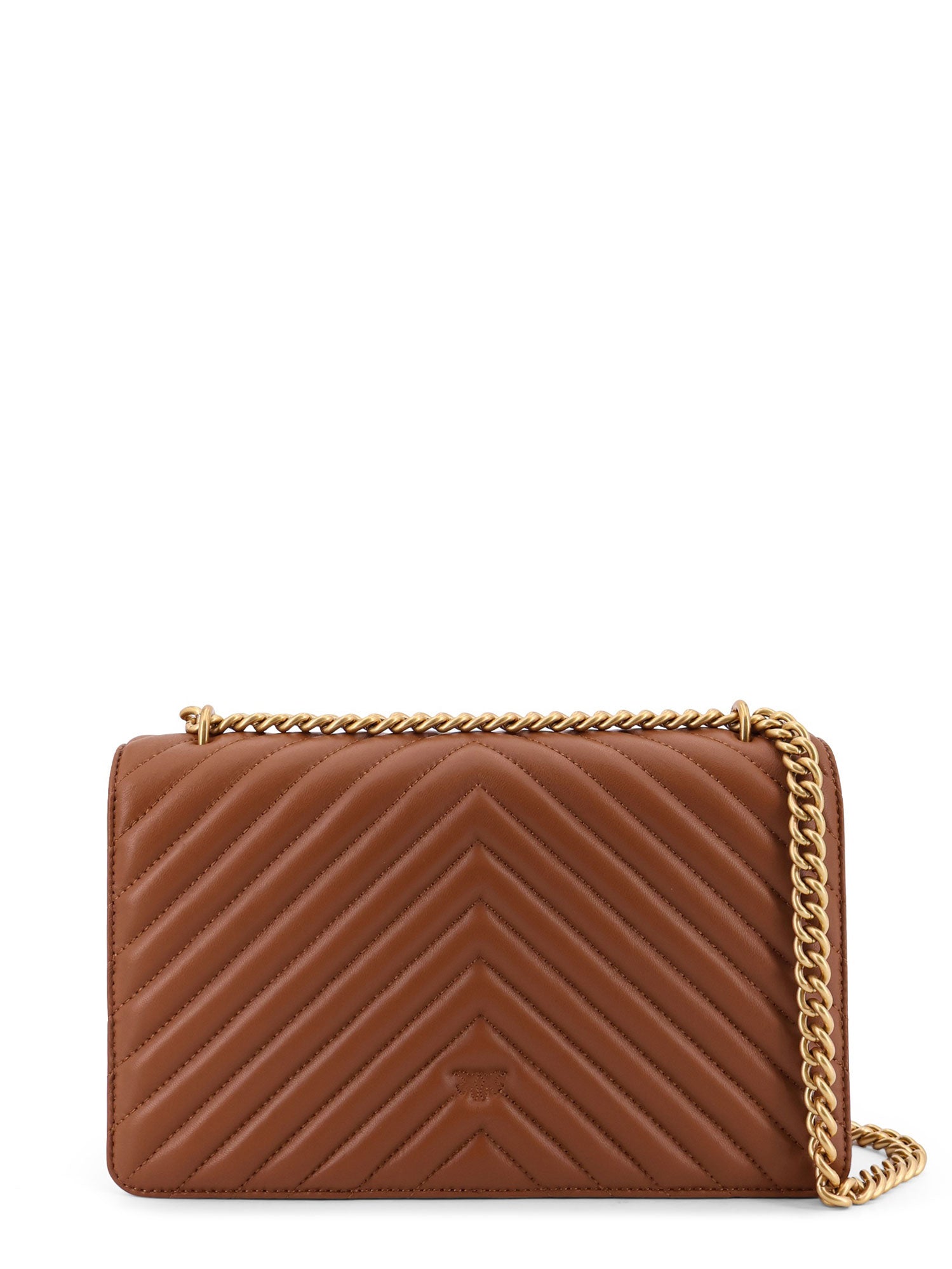 Pinko Bags Brown Pelle