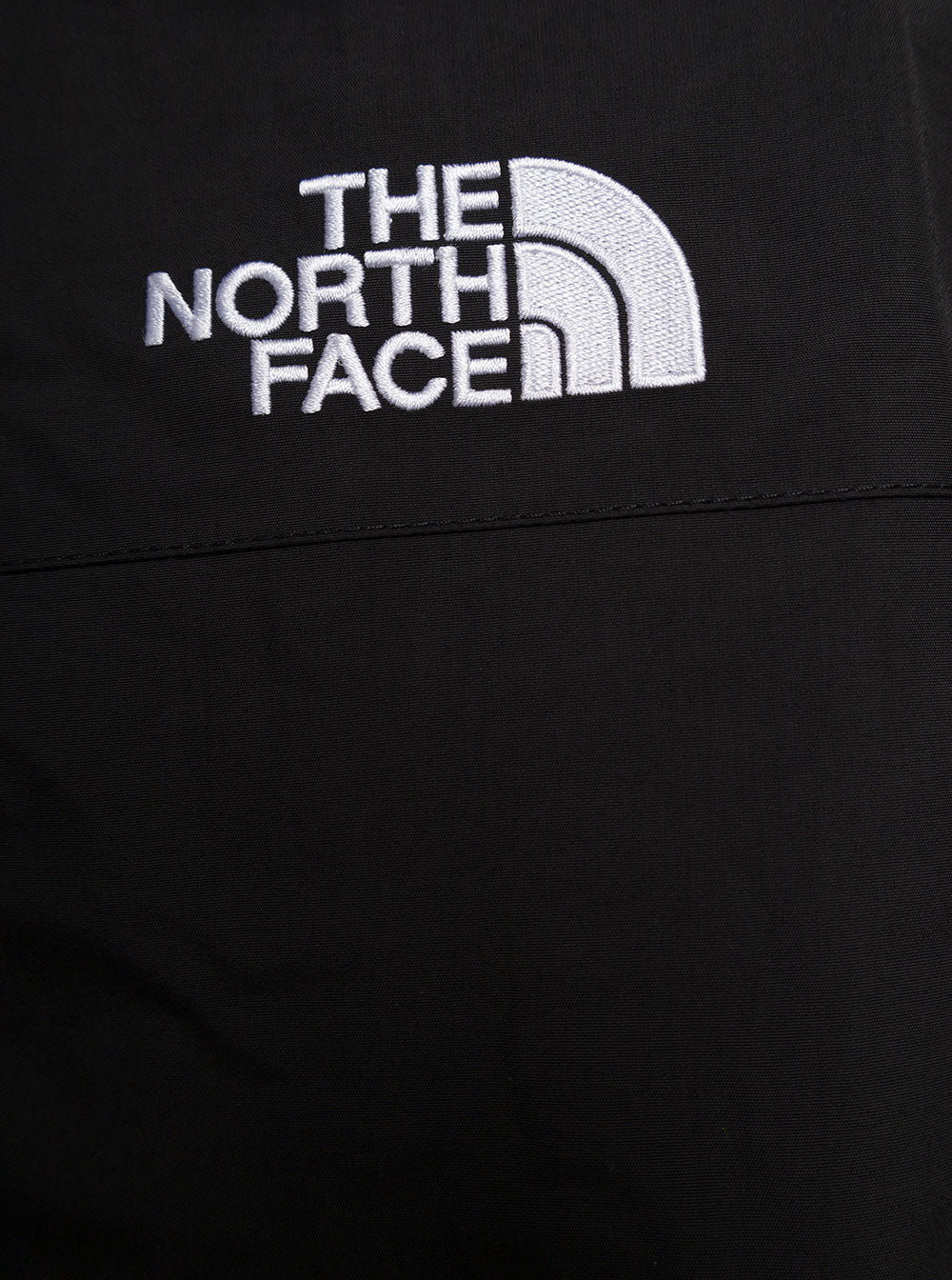 The North Face Mens Black And Grey Nylon Phlego Jacket