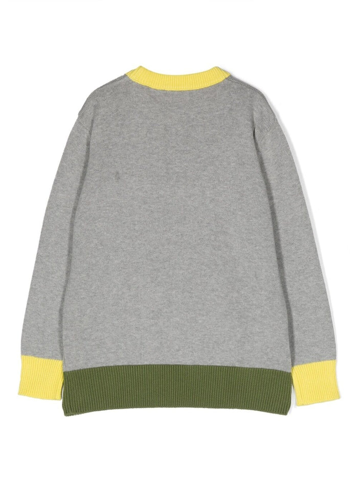 Multicolor Crewneck Sweater With Logo Cotton Girl Grey Jersey