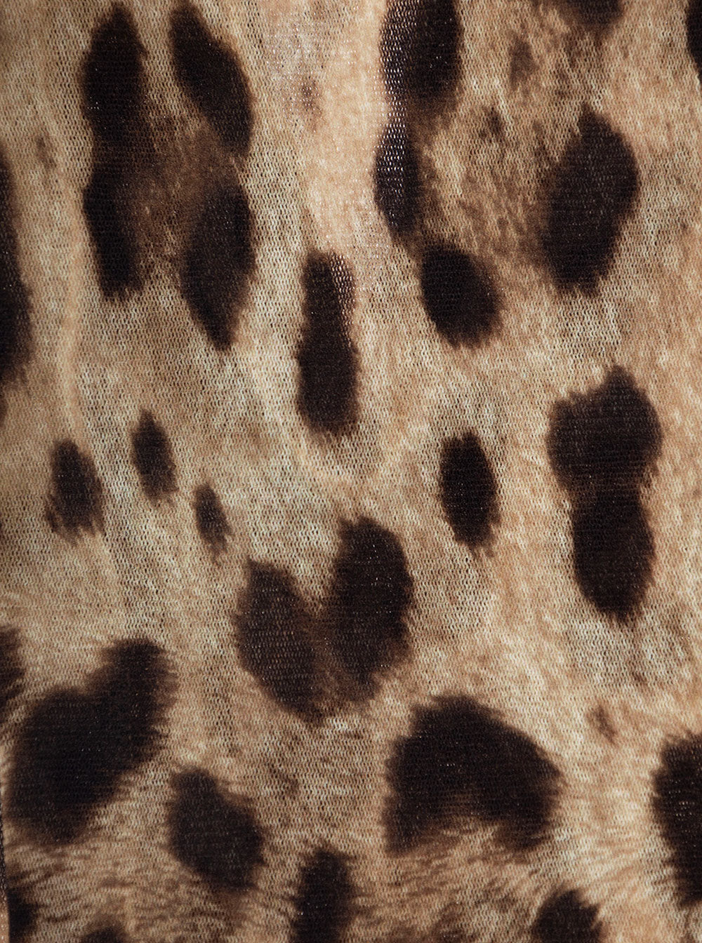 Animalier Thights Brown Polyamide Underwear