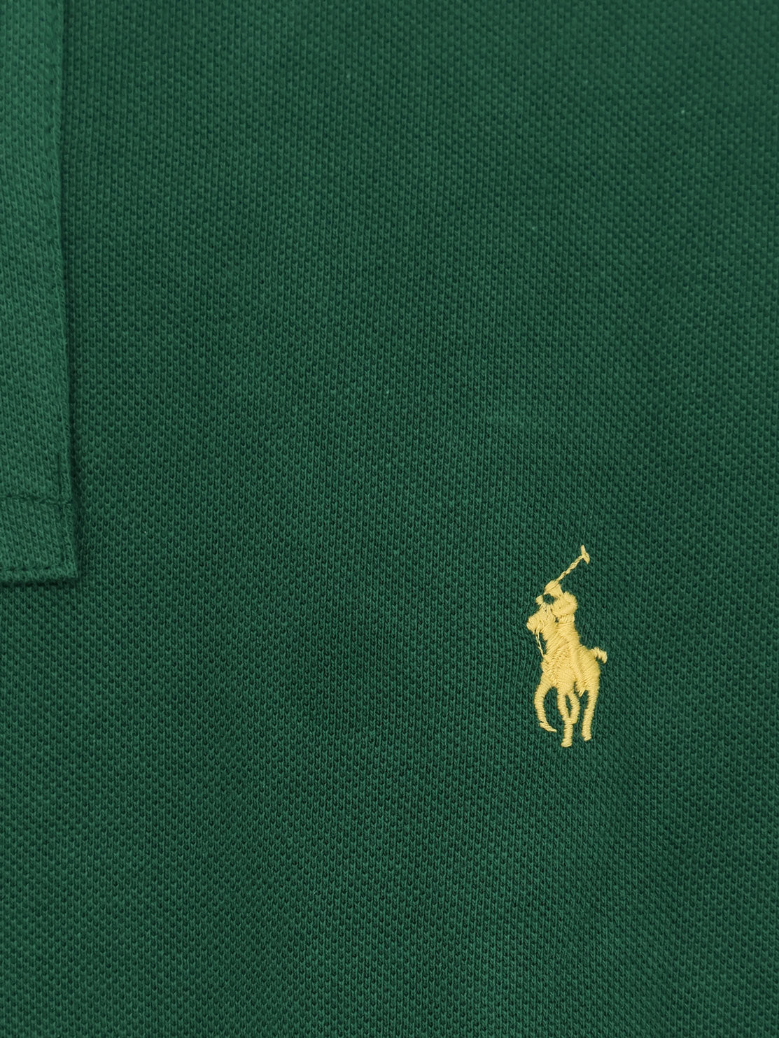 Polo Ralph Lauren T-shirts and Polos New Forest Cotone