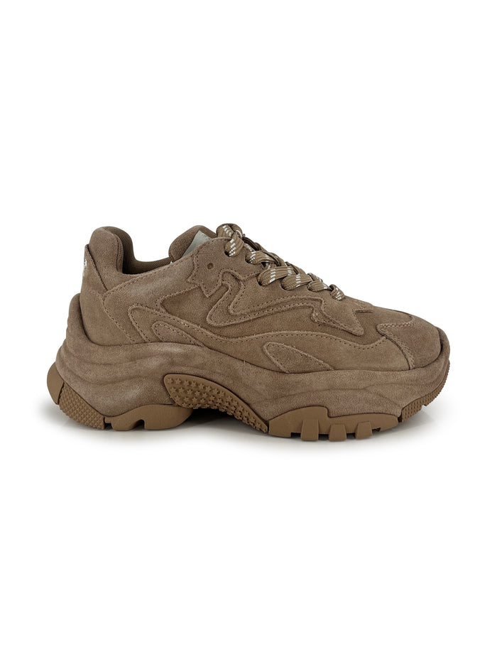 Ash Flat Shoes Nocciola Suede