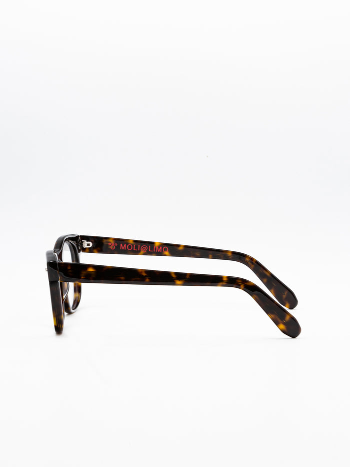 18a042u0a Brown Acetate | Celluloide Glasses