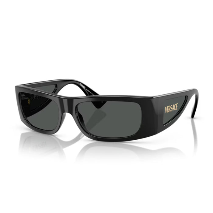 Versace 0VE4482 Lens Logo GB1-87 Nero Injected Occhiali Da Sole