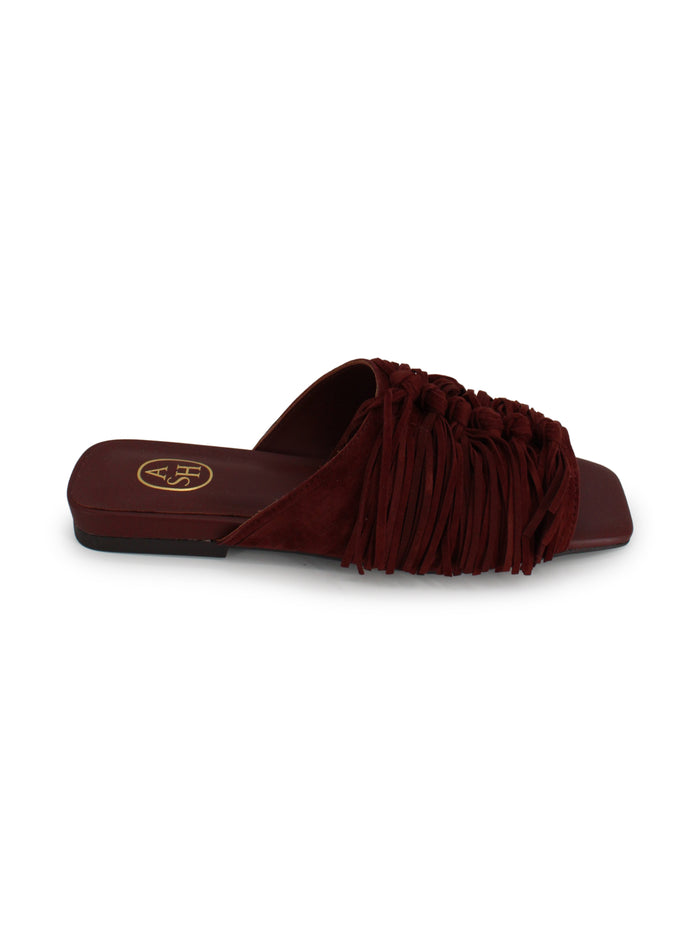 ASH Flat shoes Marsala Leather