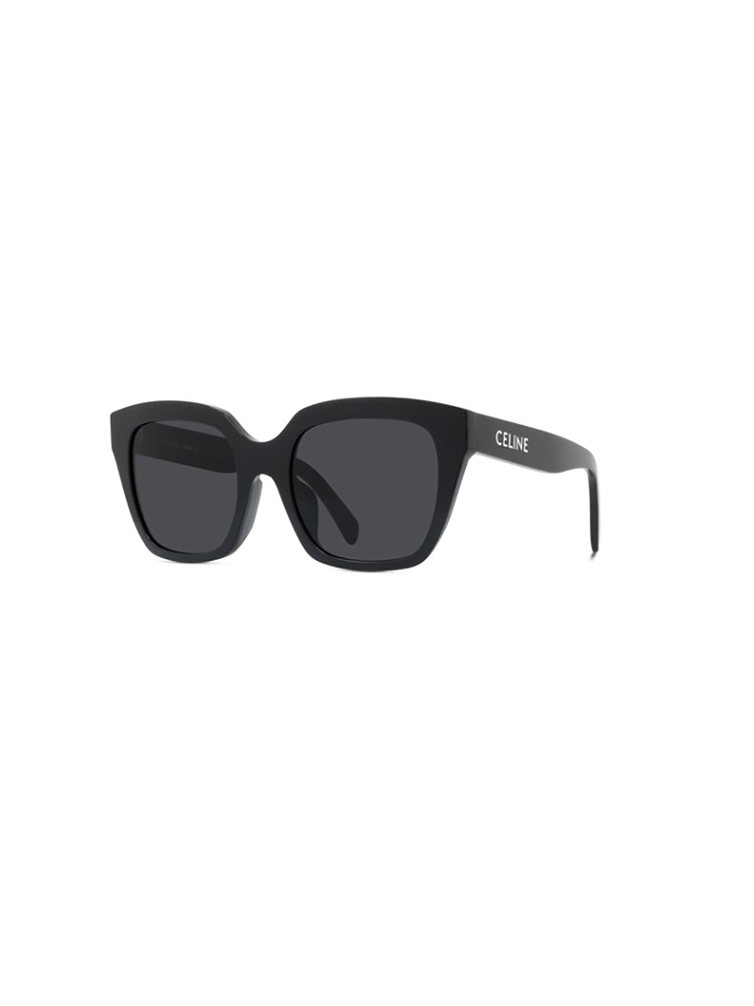 1d1q4f10a Black Acetate | Sunglasses Glasses