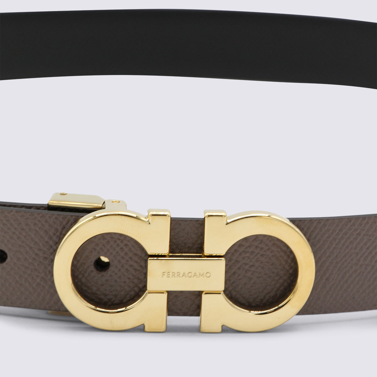 Ferragamo Belts Seed _le